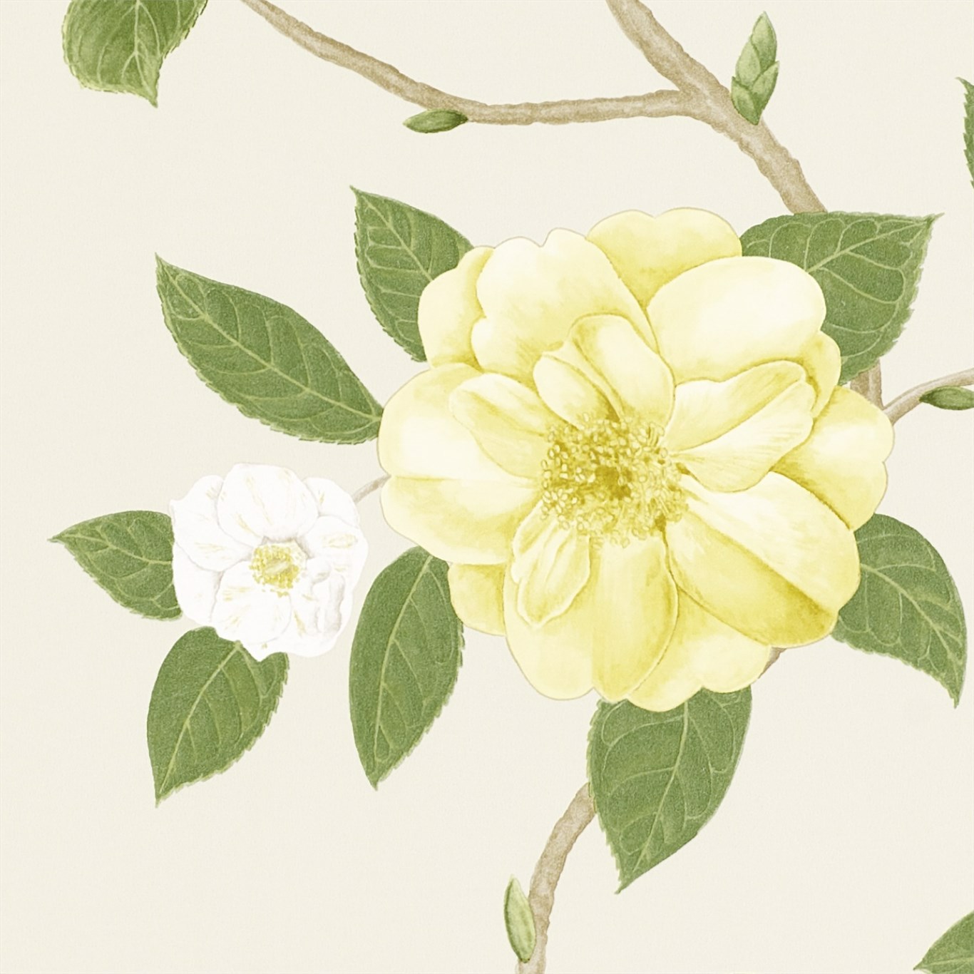 Christabel Yellow/Ivory Wallpaper by SAN