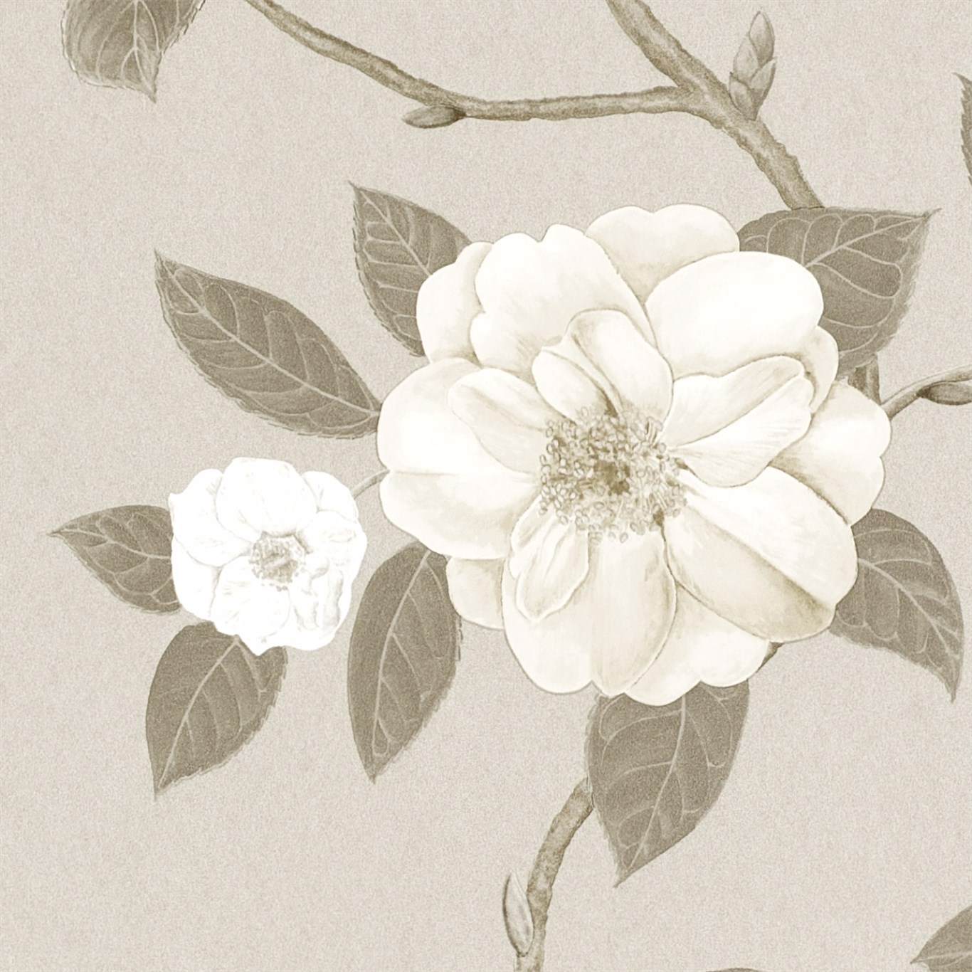 Christabel Ivory/Silver Wallpaper by SAN