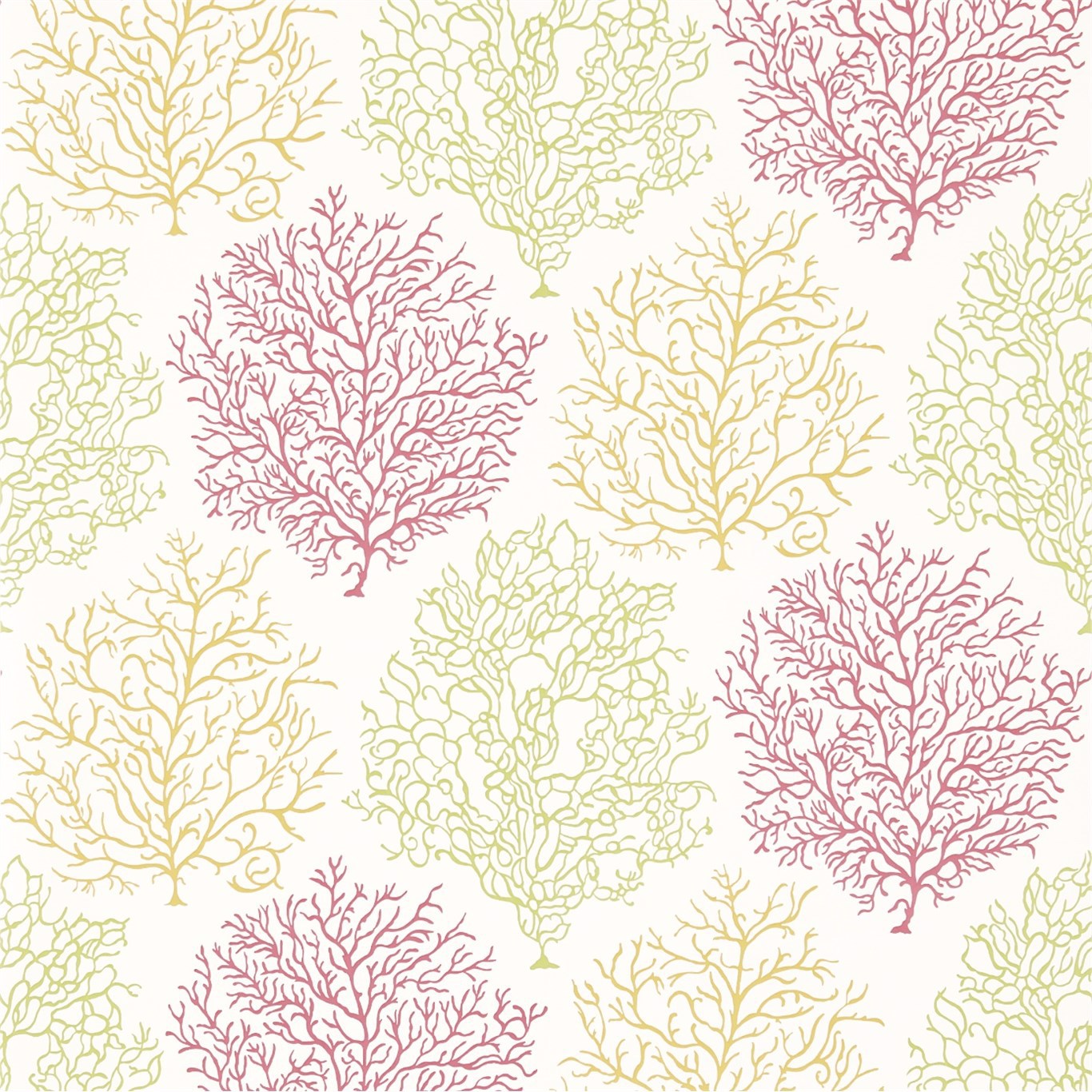 Coral Reef Tropical/Brights Wallpaper by SAN