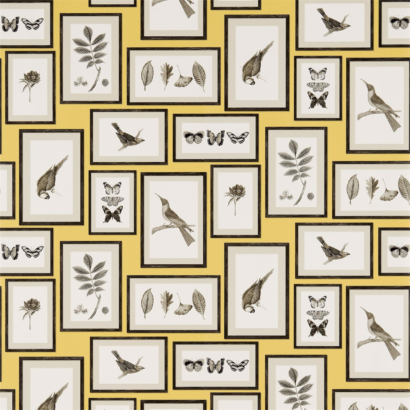 Picture Gallery Yellow/Charcoal Wallpaper by SAN