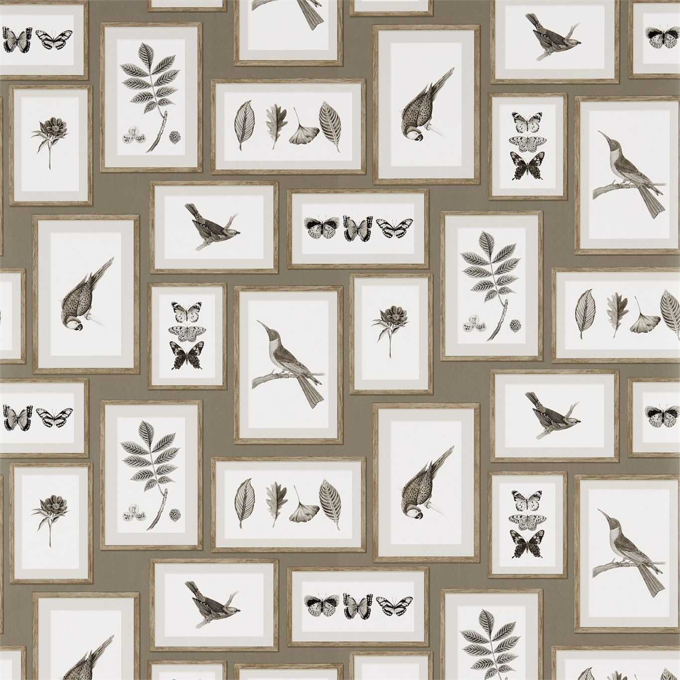 Picture Gallery Taupe/Sepia Wallpaper by SAN