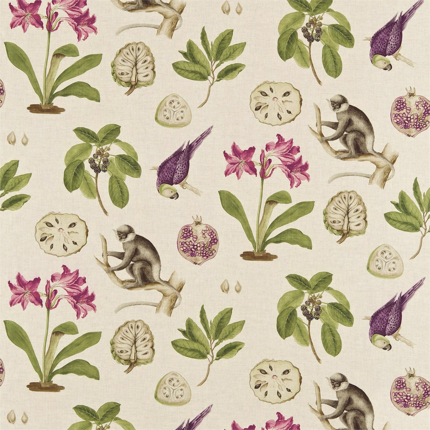 Capuchins Boysenberry Fabric by SAN