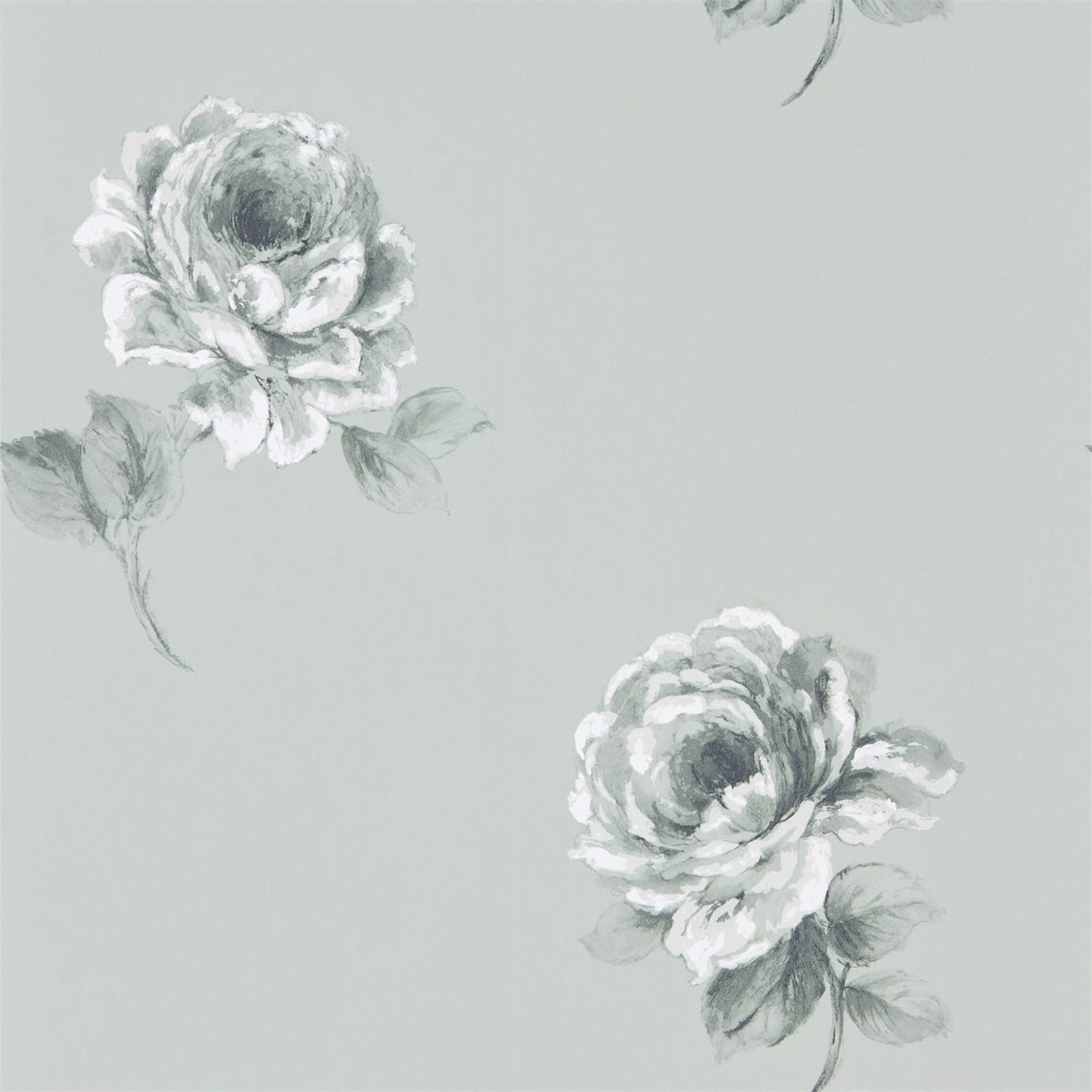 Rosa Mint Wallpaper by SAN