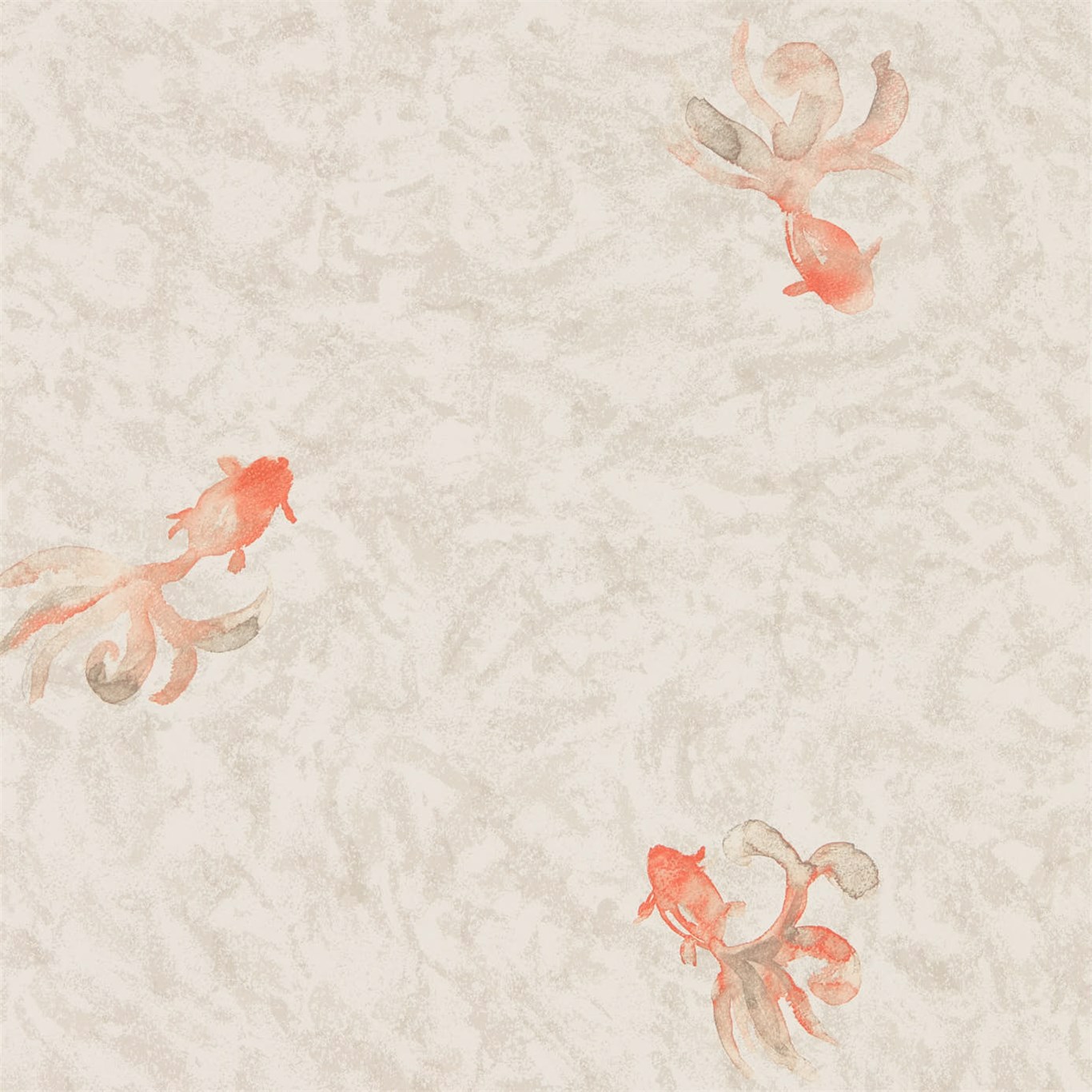 Fantail Cream/Orange Wallpaper by SAN