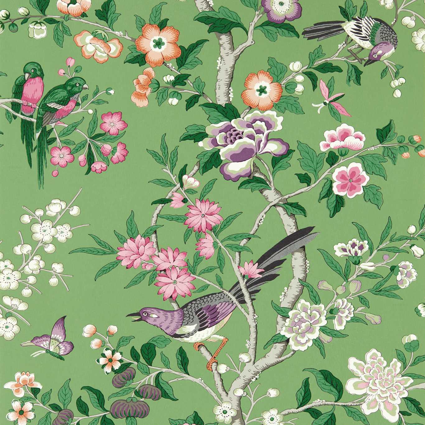 Chinoiserie Hall Chinese Green/Lotus Pink Wallpaper by SAN