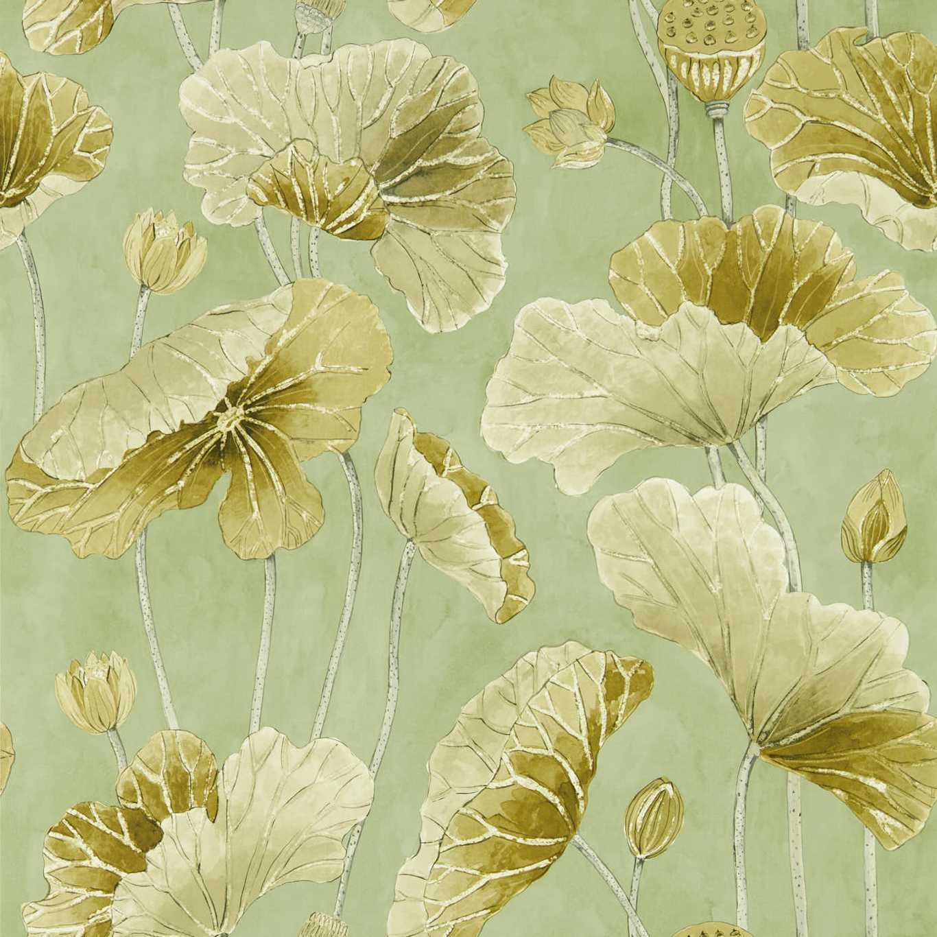 Lotus Leaf Oriental Green/ Olive Wallpaper by SAN