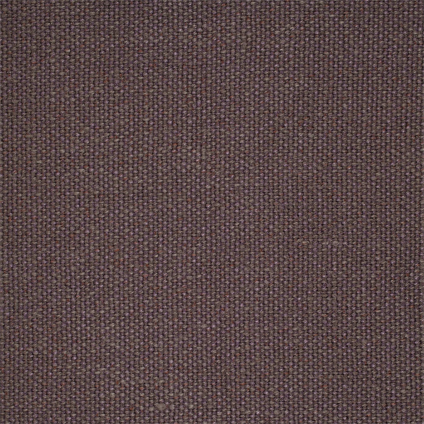 Woodland Plain Mocha Fabric by SAN