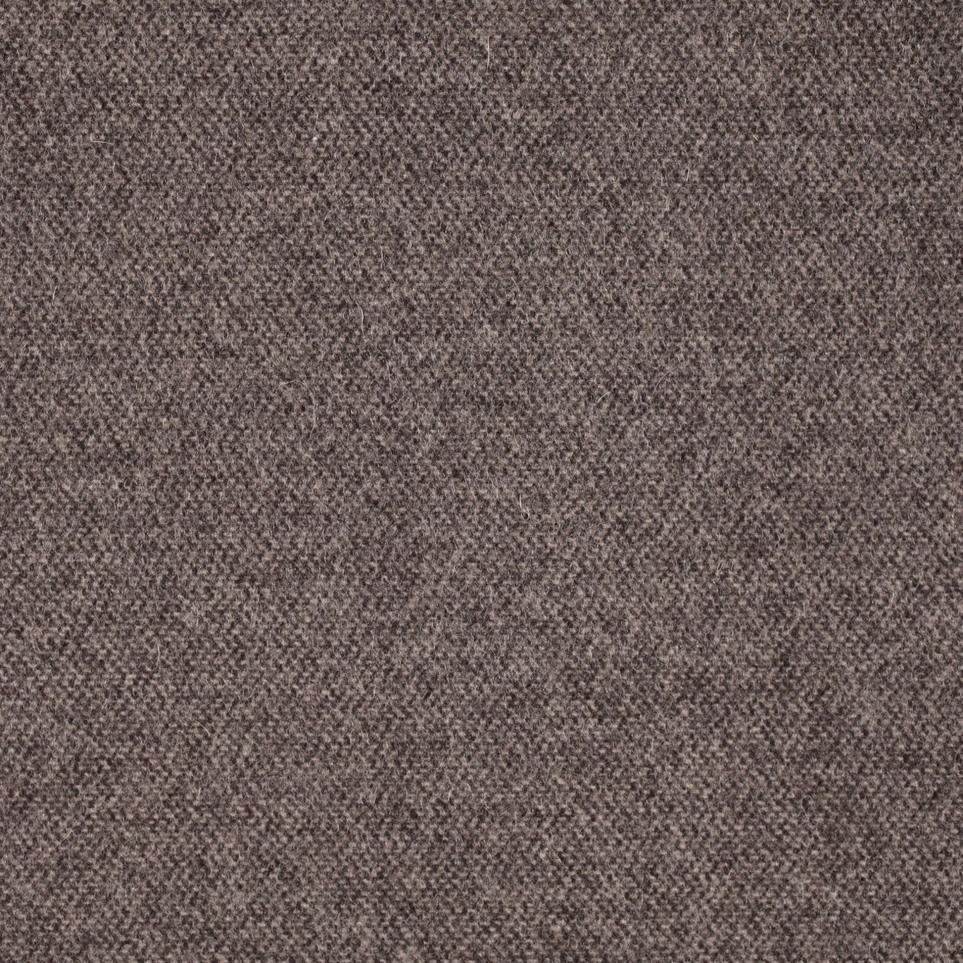 Byron Wool Plains Espresso Fabric by SAN