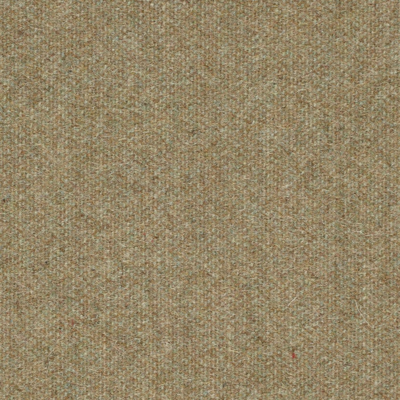 Byron Wool Plains Willow Fabric by SAN