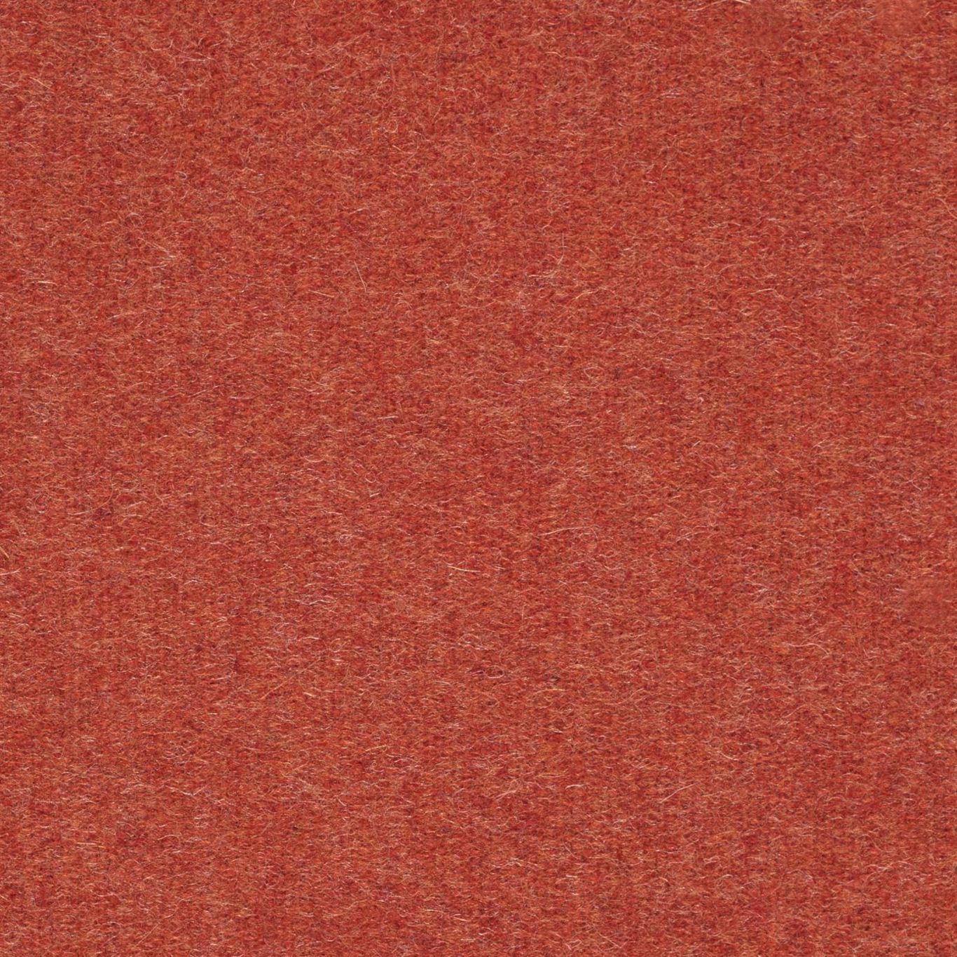 Byron Wool Plains Burnt Orange Fabric by SAN