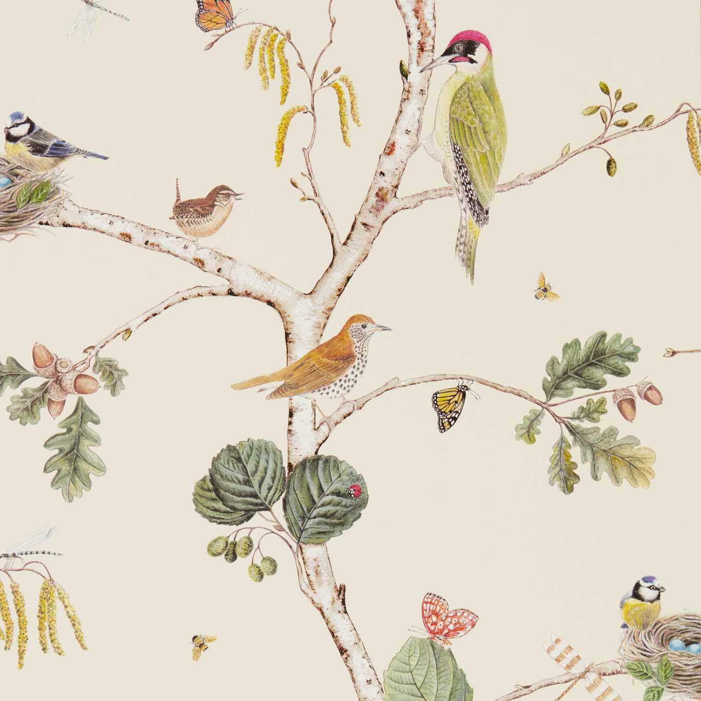 Woodland Chorus Cream/Multi Wallpaper by SAN