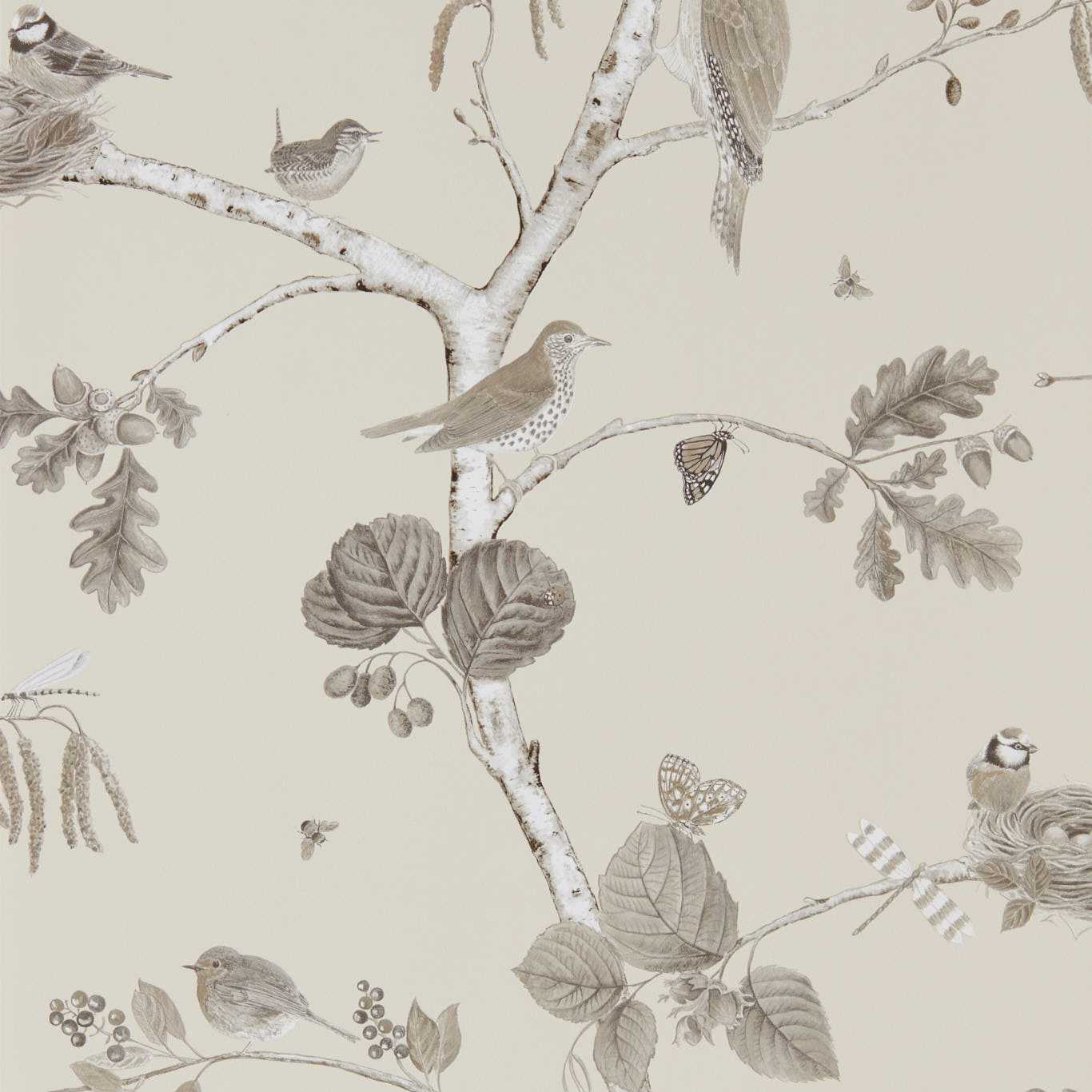 Woodland Chorus Sepia/Neutral Wallpaper by SAN