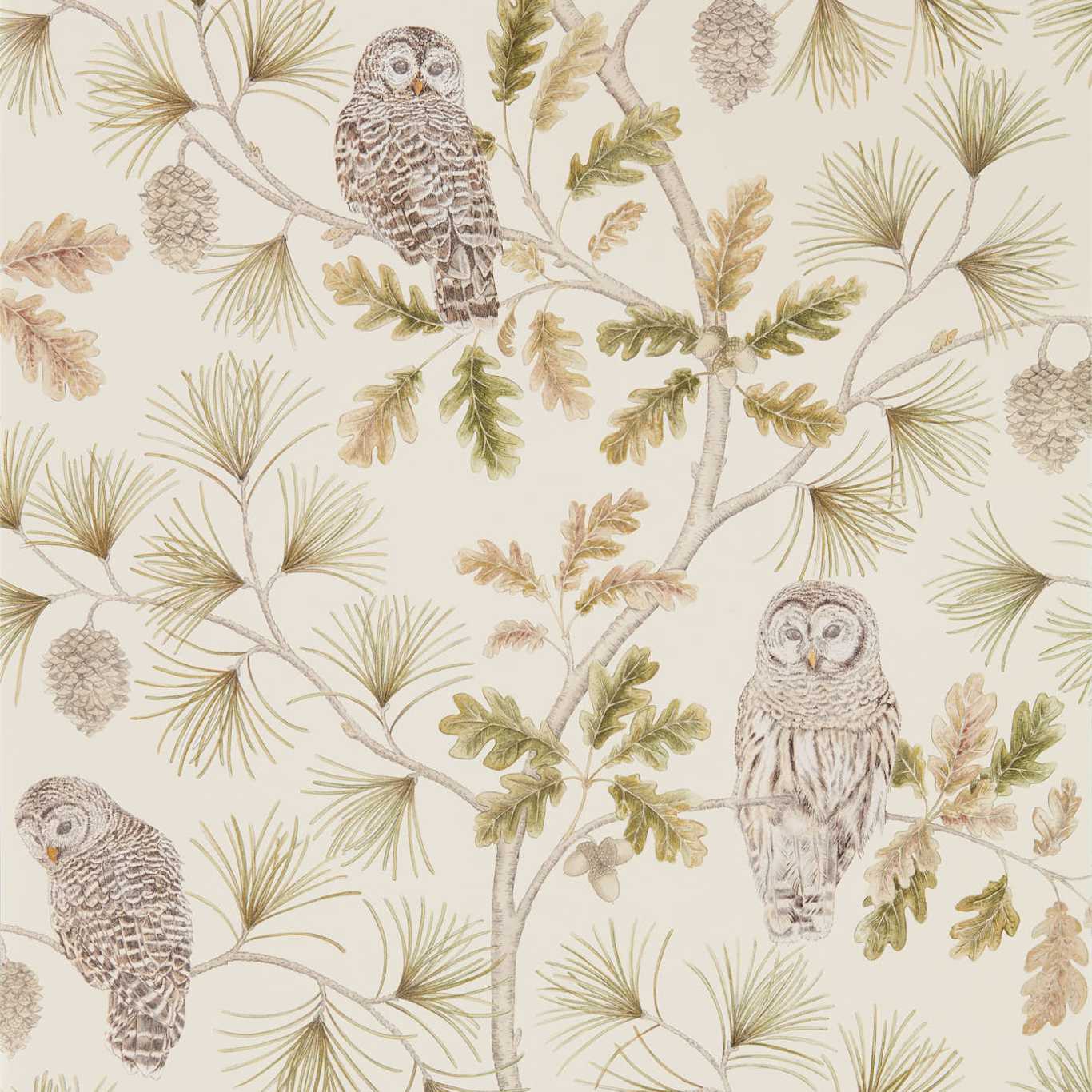 Owlswick Briarwood Wallpaper by SAN
