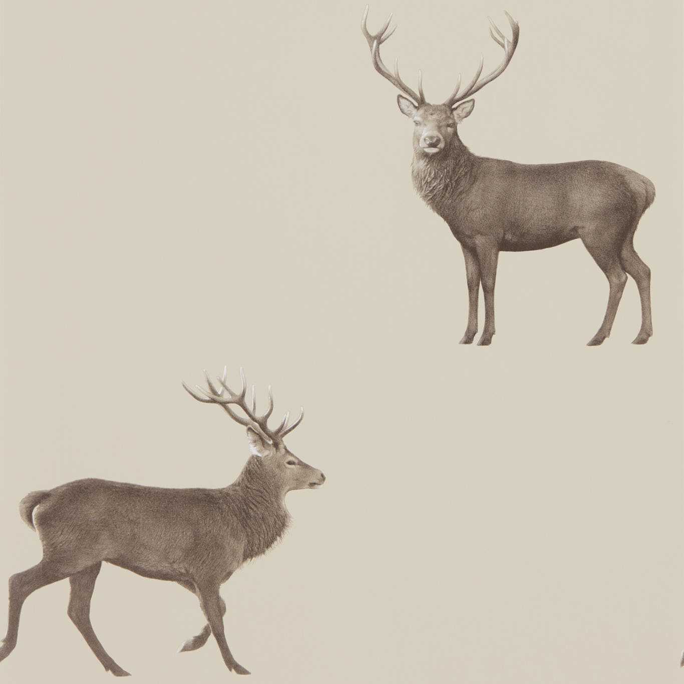 Evesham Deer Birch Wallpaper by SAN