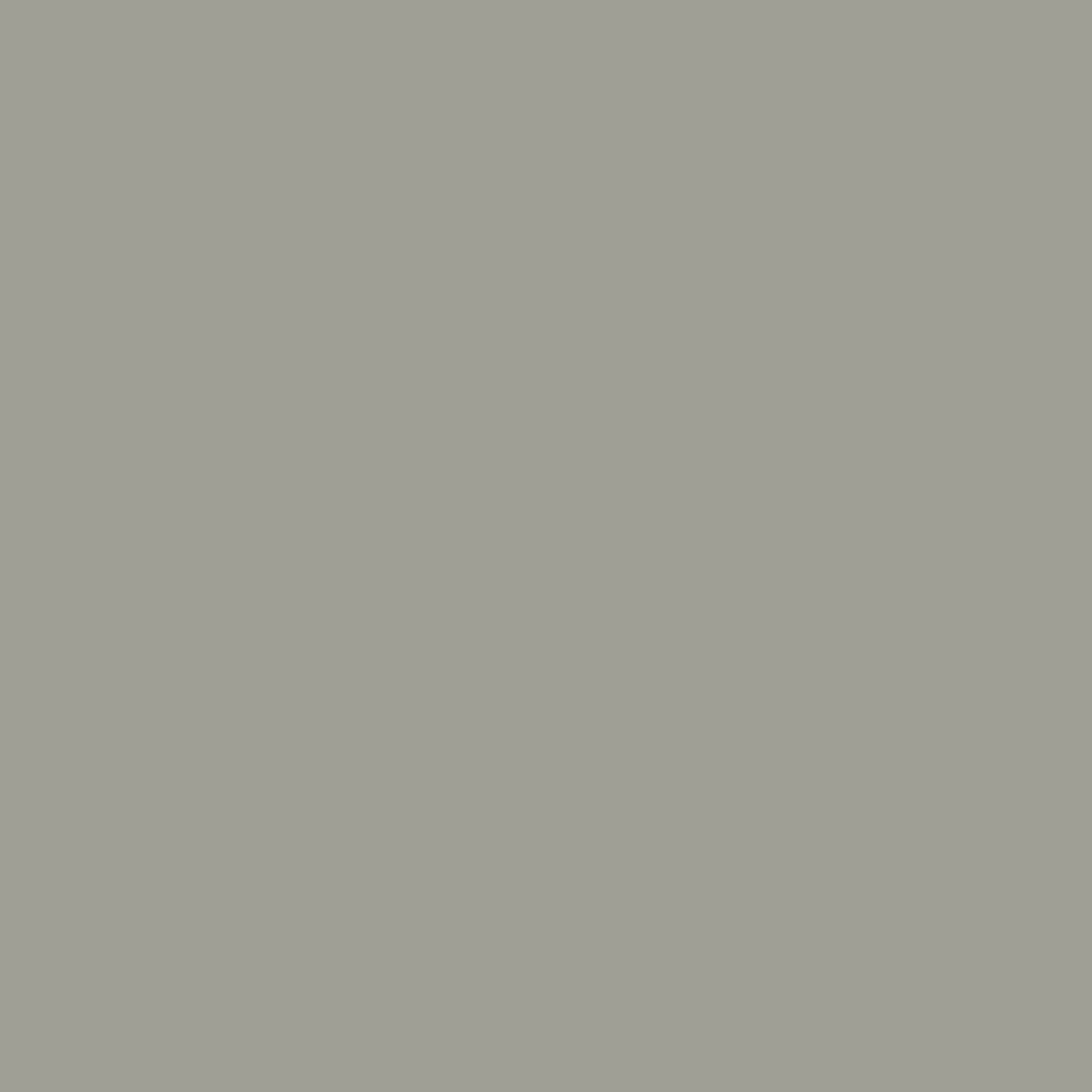 Paint Elephant Grey Paint by ZOF