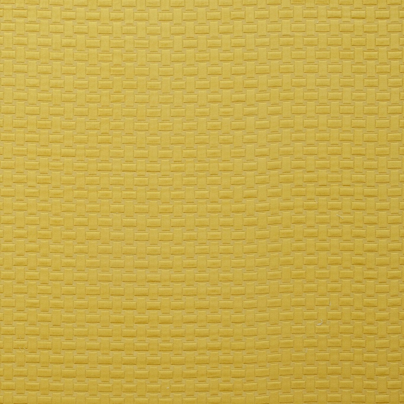 Scala Chartreuse Fabric by CNC