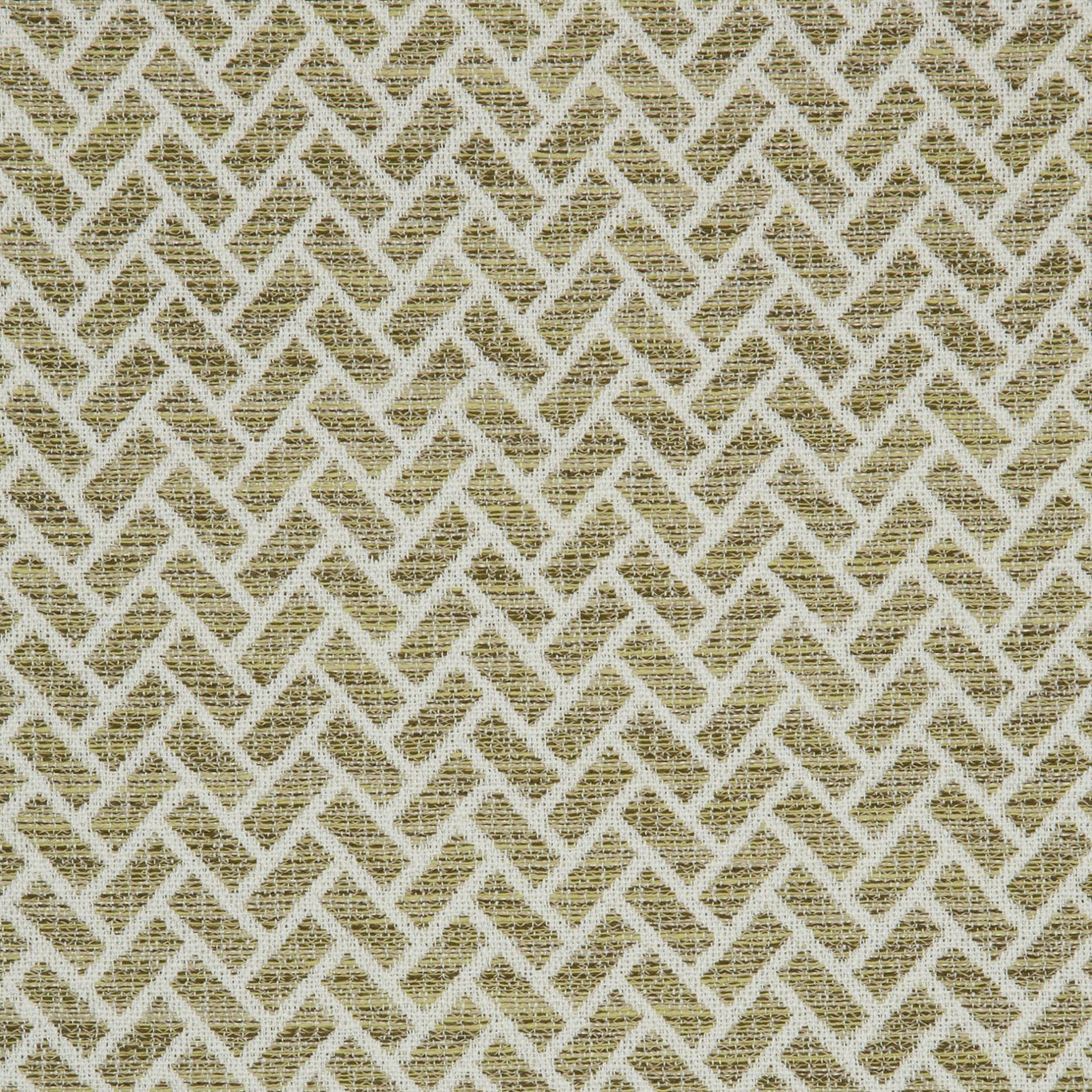 Cipriani Olive Fabric by STG
