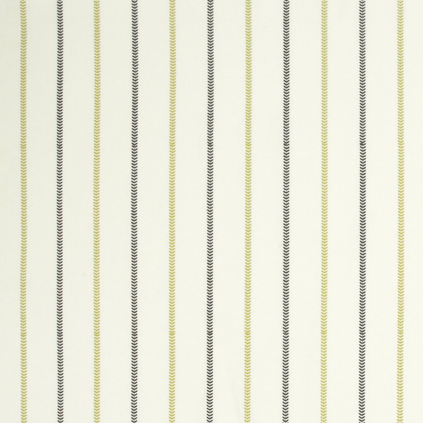 Enya Chartreuse/Charcoal Fabric by STG