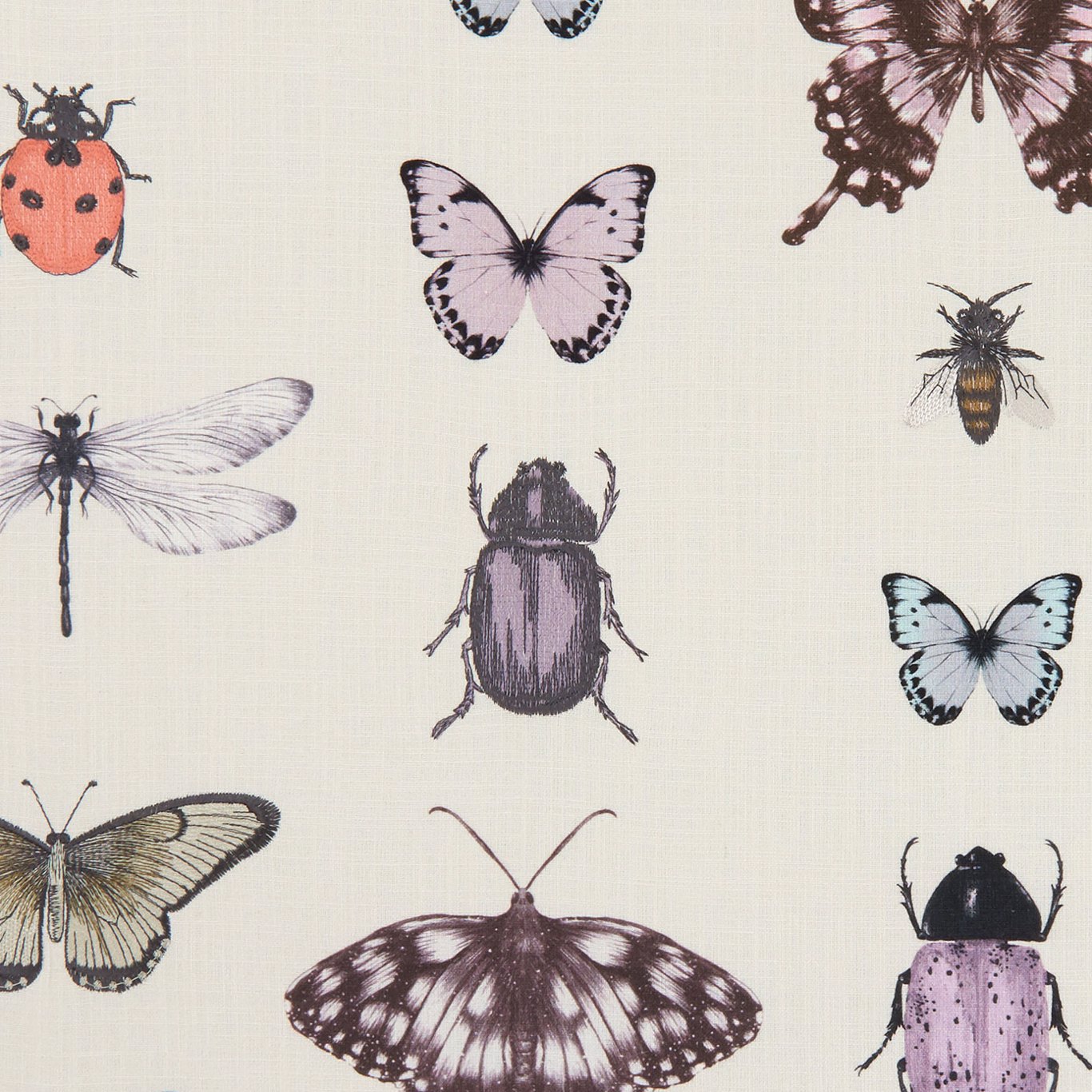 Papilio Heather/Ivory Fabric by CNC
