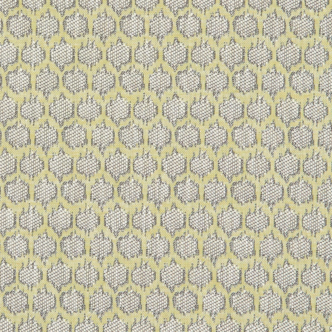 Dorset Citron Fabric by CNC