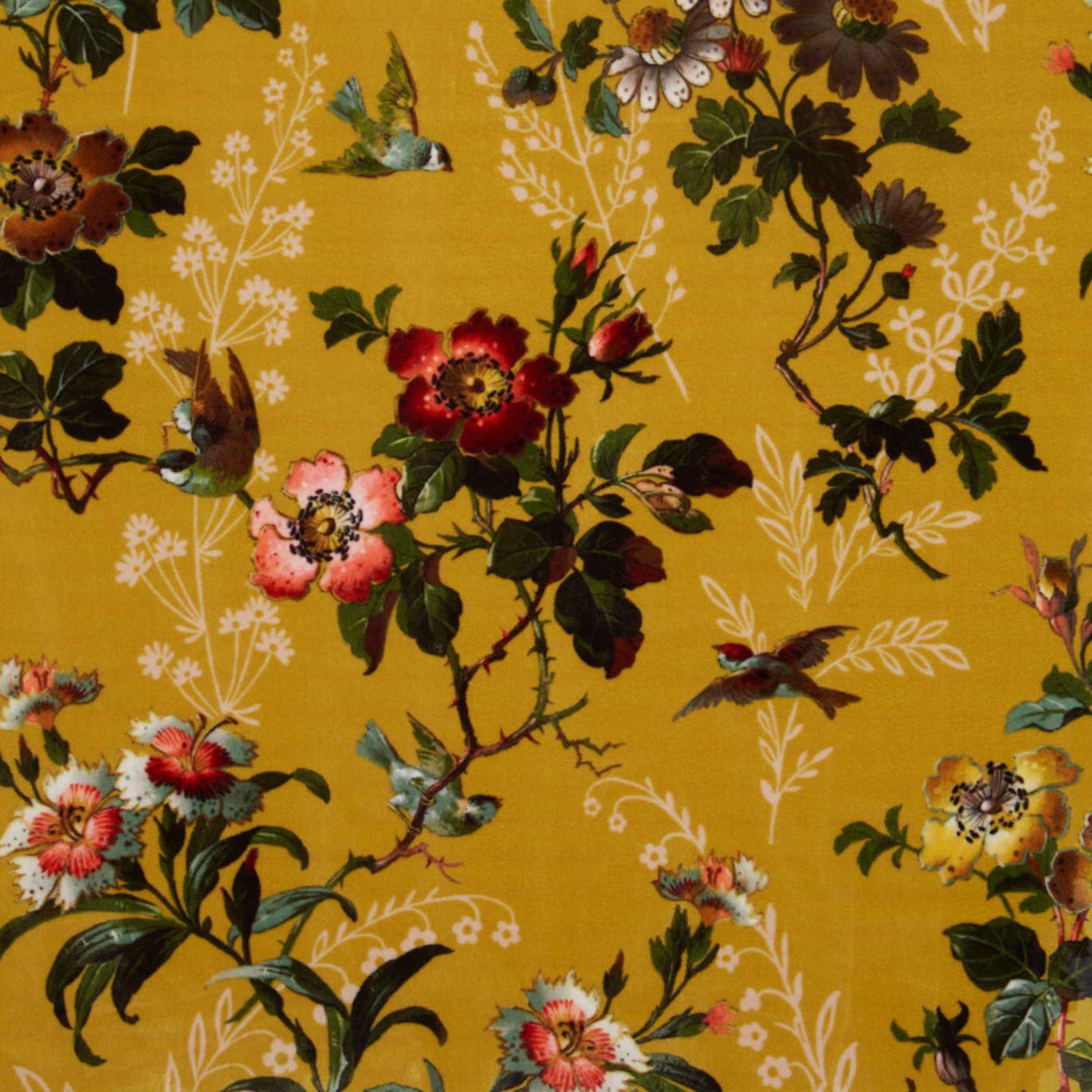 Leighton Velvet Ochre Fabric by OAS