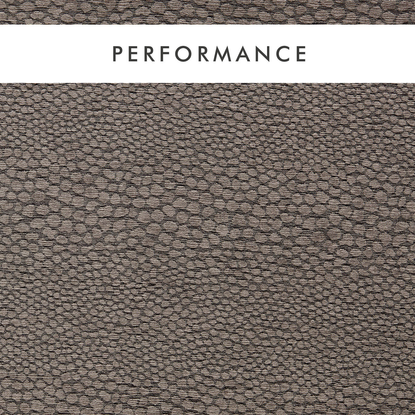 Castus Espresso Fabric by CNC