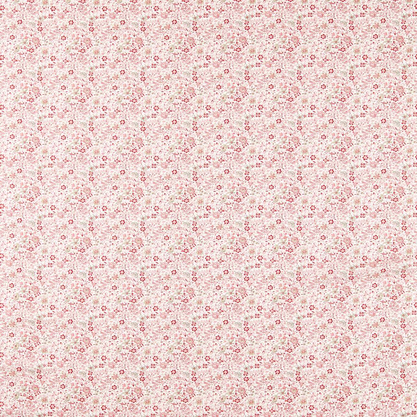 Gamthi Blush Fabric by CNC