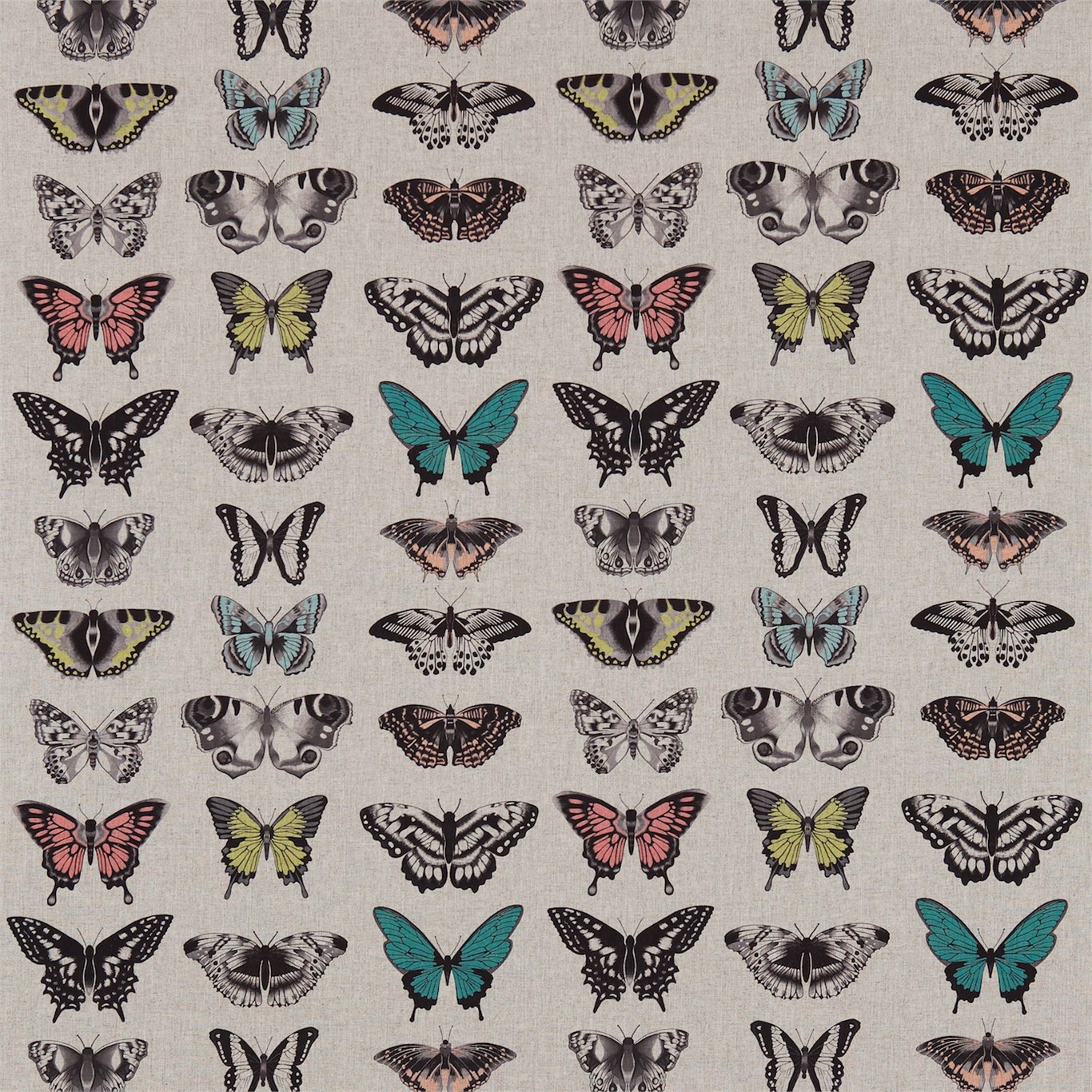 Papilio Peach/Lagoon/Zest Fabric by HAR