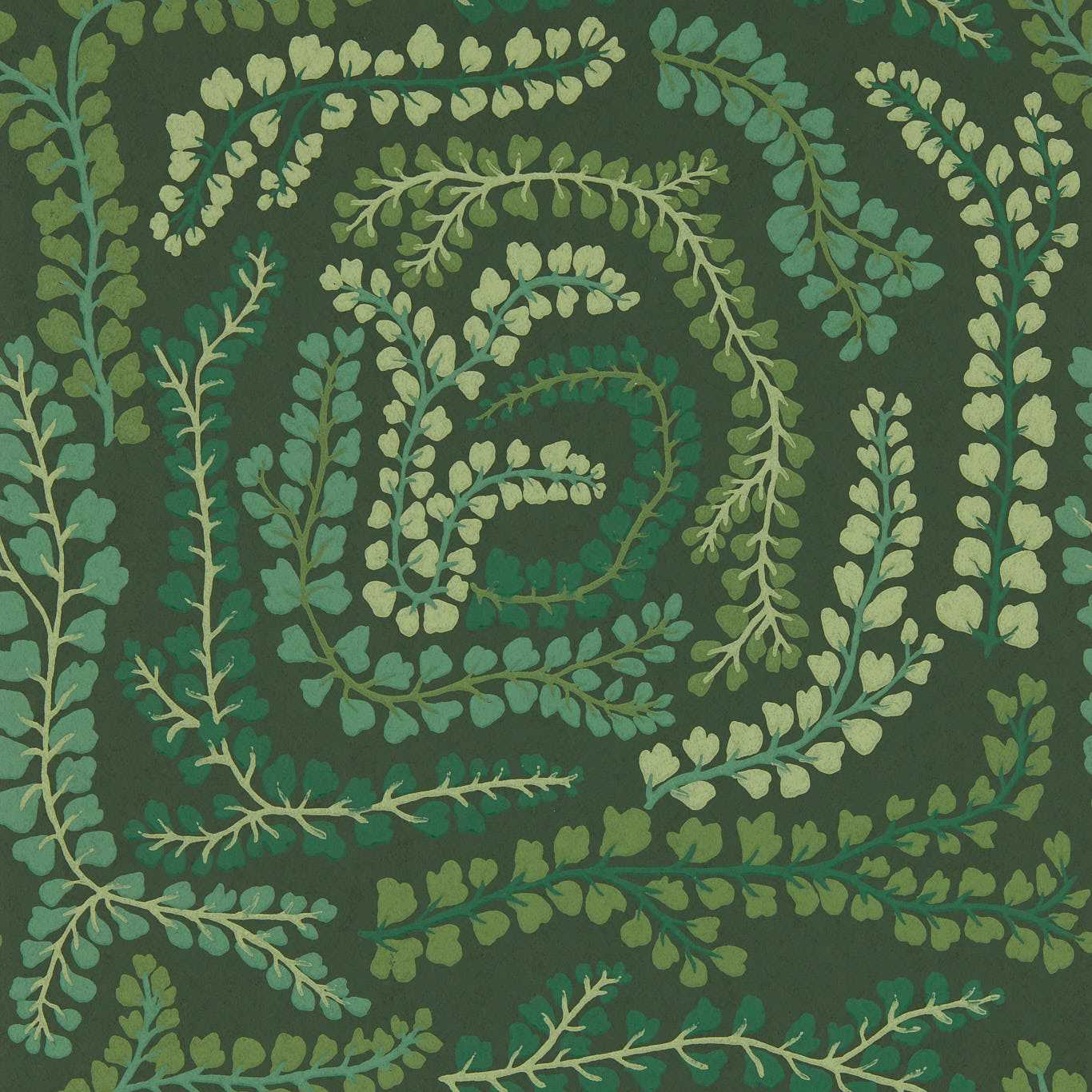Fayola Fig Leaf/Clover Wallpaper by HAR