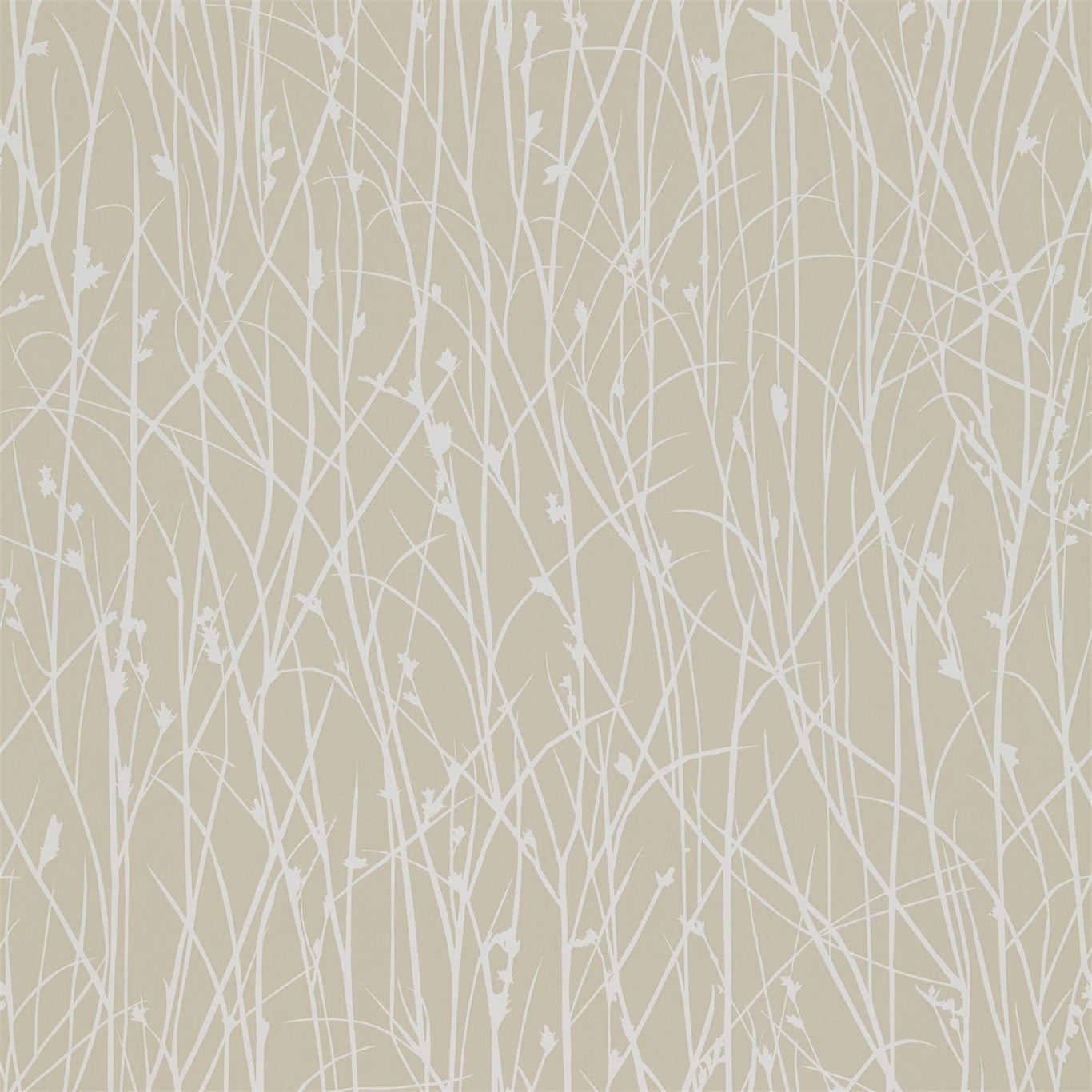 Grasses Natural/White Wallpaper by HAR