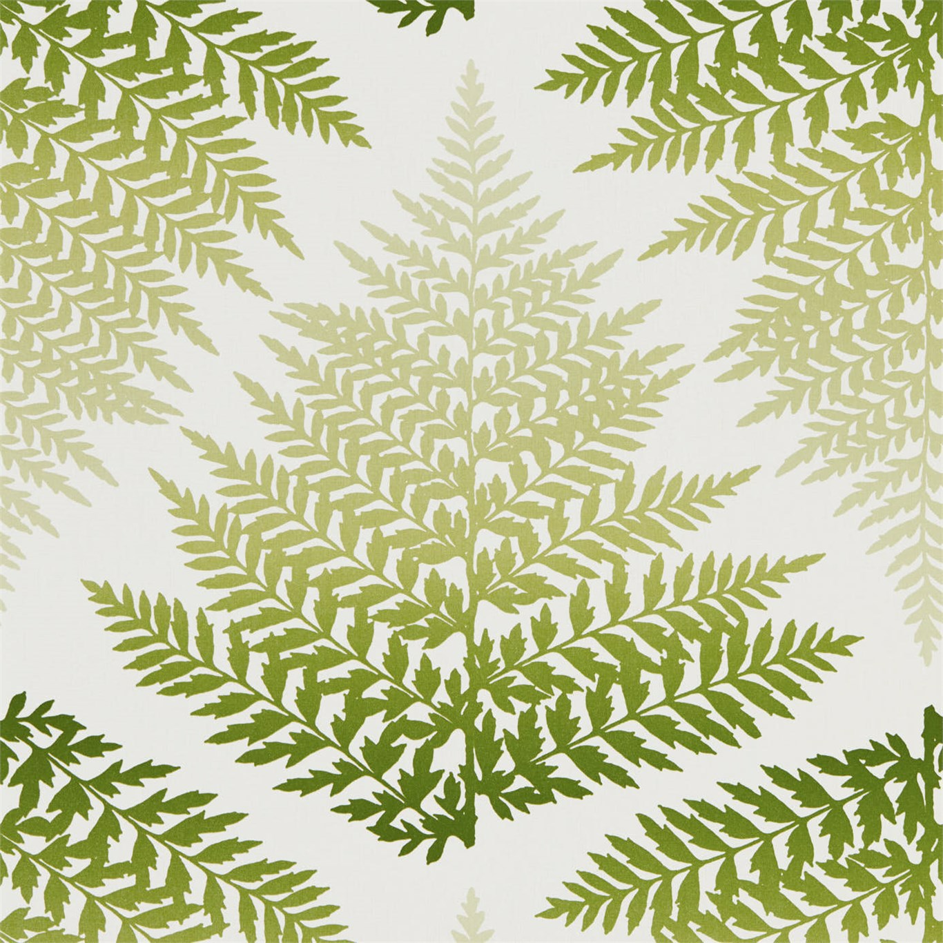 Filix Emerald / Forest Wallpaper by HAR