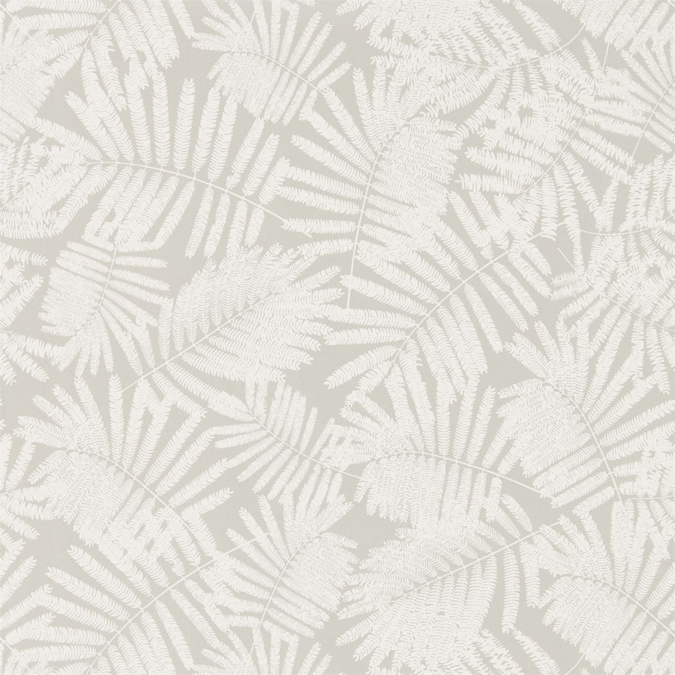 Espinillo Pearl / Oyster Wallpaper by HAR
