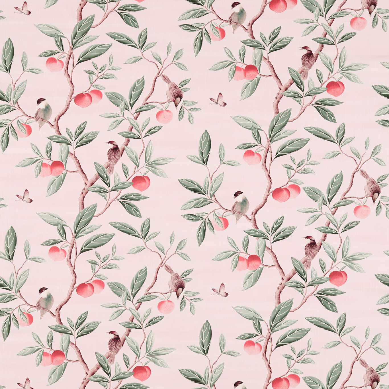 Ella Powder/ Sage / Peach Fabric by HAR