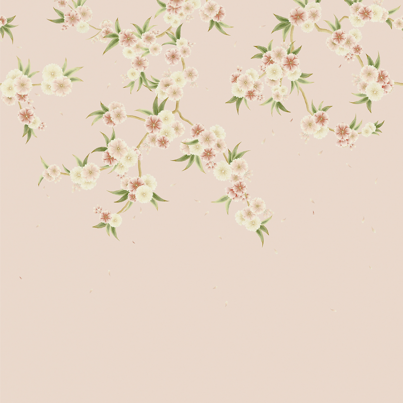 Rosa Blush Pearl/Peony/Meadow Wallpaper by HAR