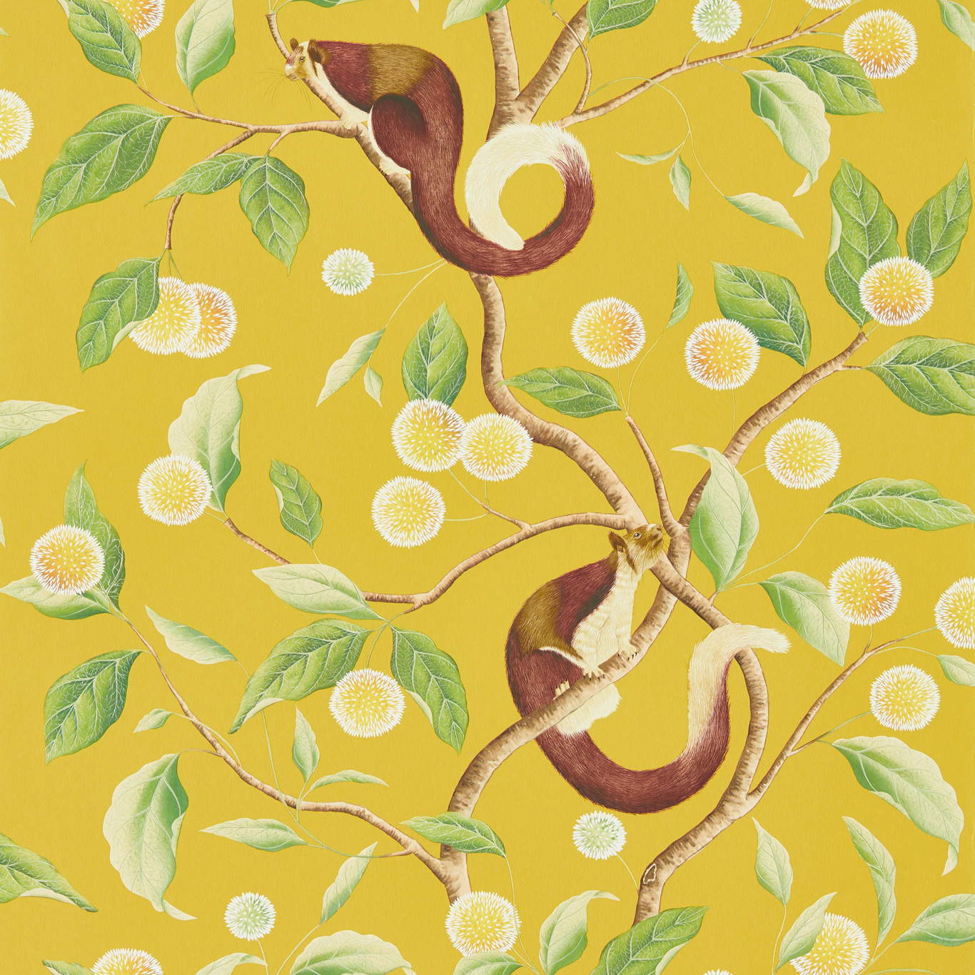 Nellie Honey/Meadow Wallpaper by HAR