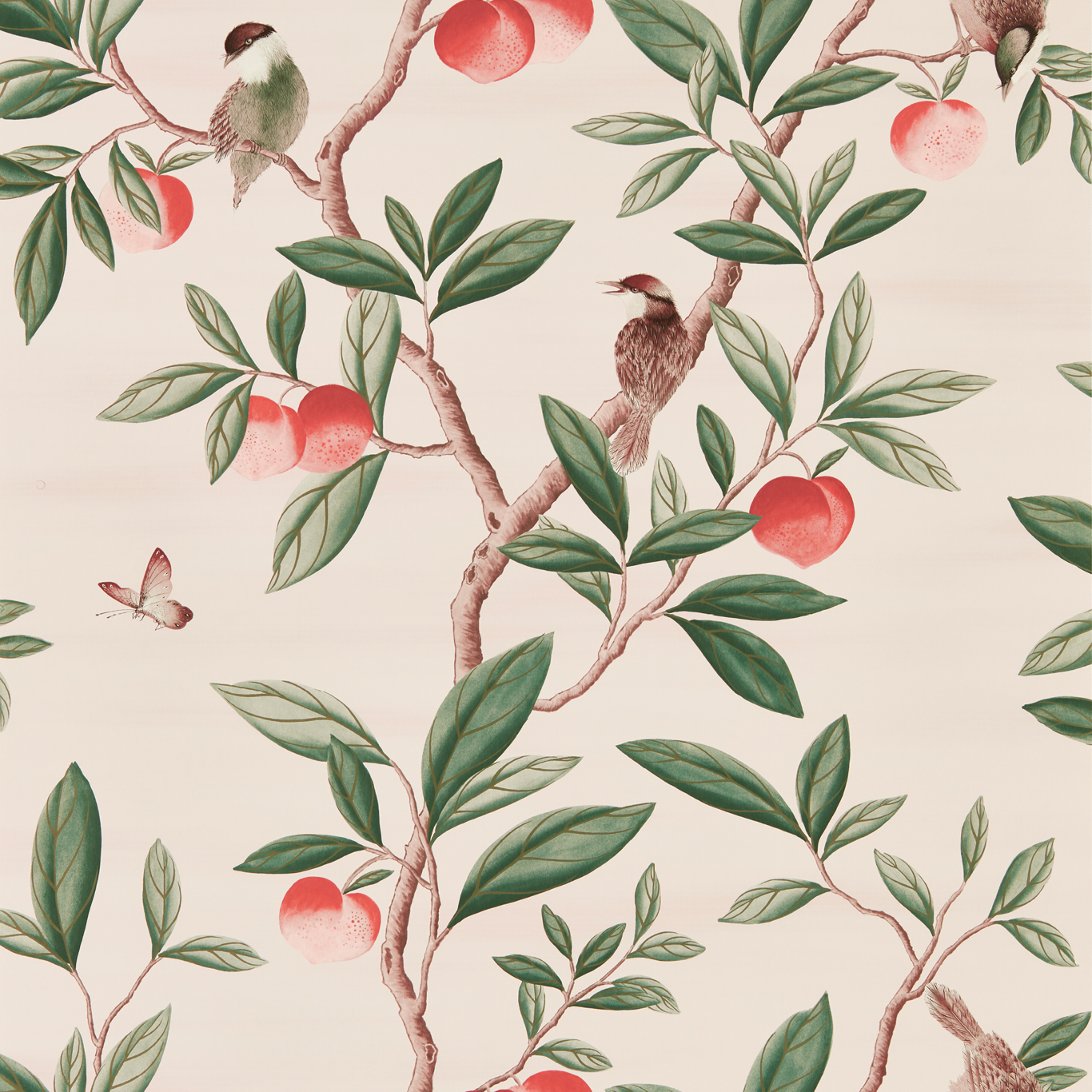 Ella Powder/ Sage / Peach Wallpaper by HAR