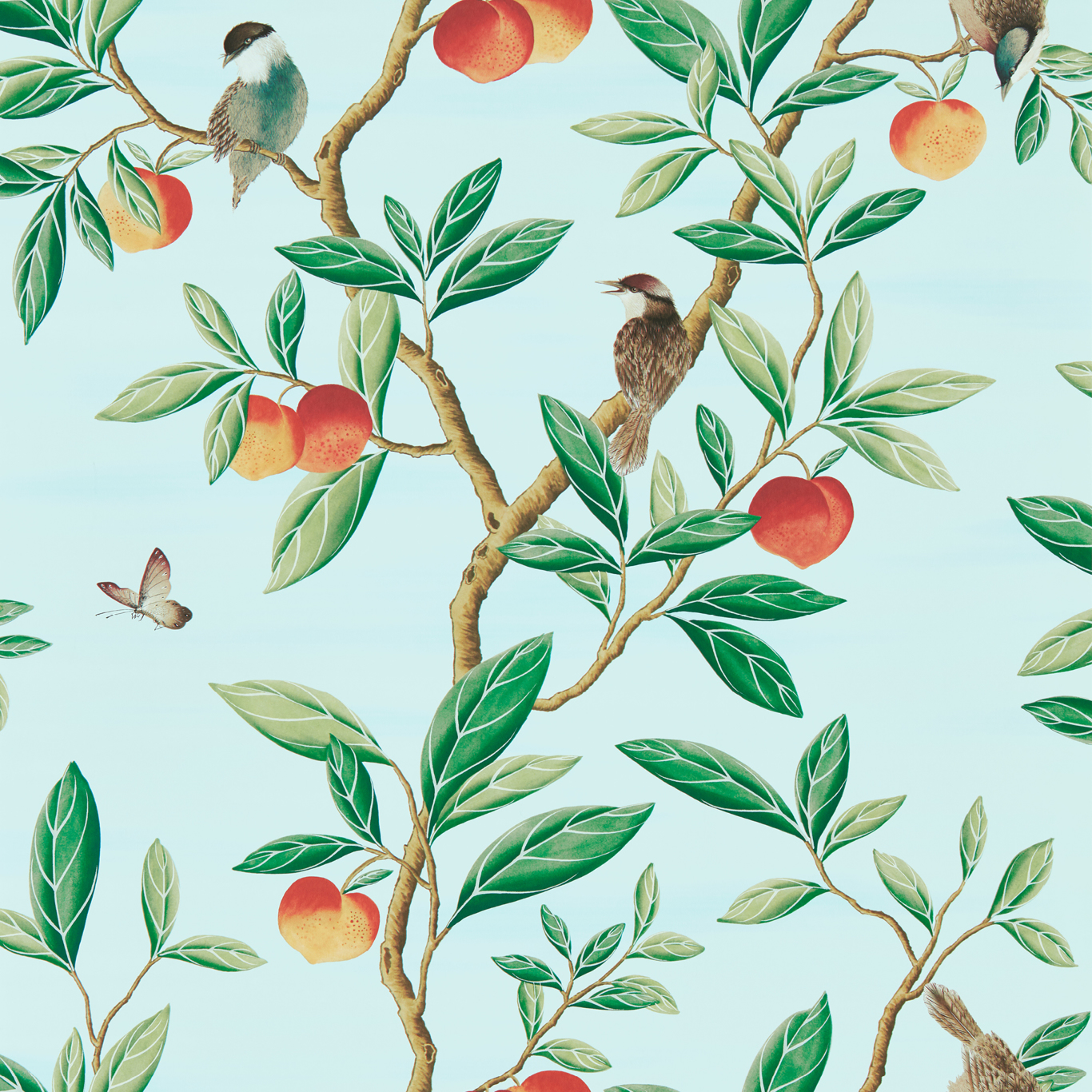 Ella Sky/Fig Leaf/ Nectarine Wallpaper by HAR