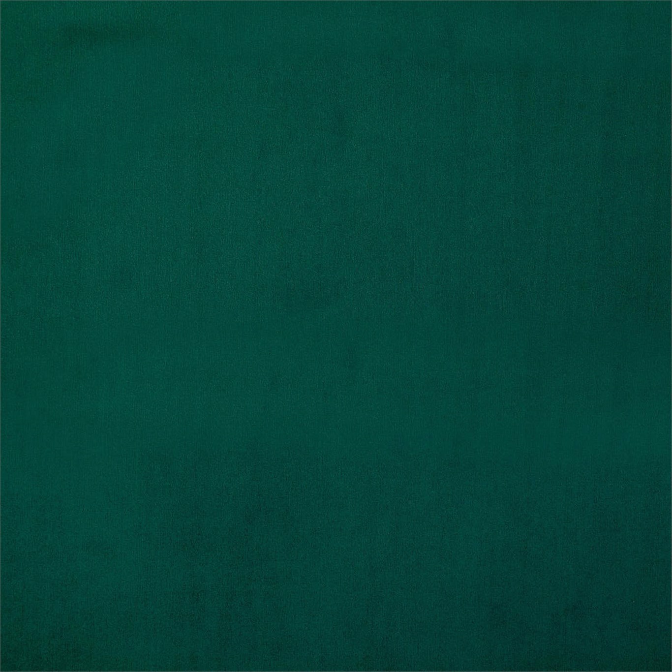 Entity Plains Emerald Fabric by HAR