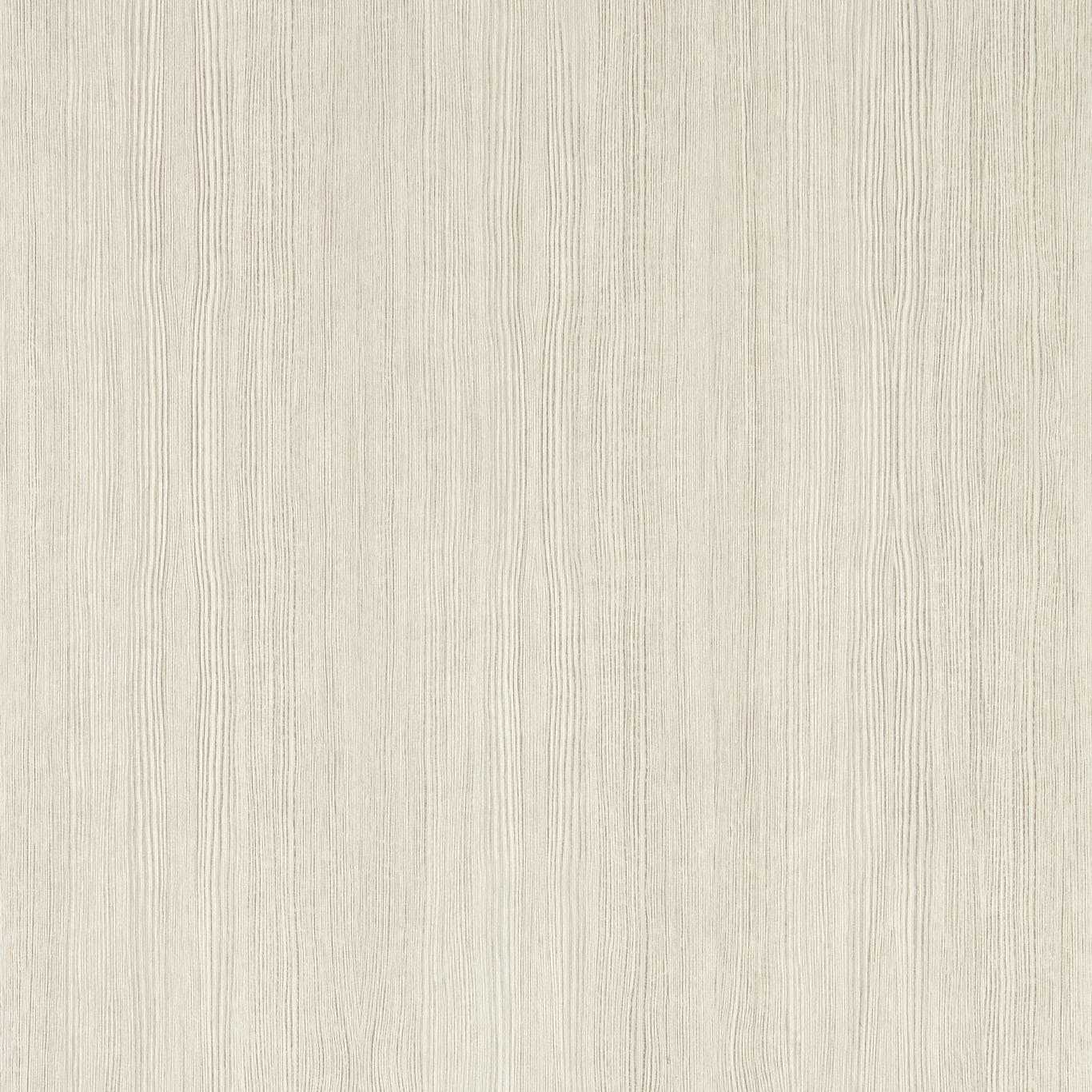 Wood Veneer Silver Birch Wallpaper by HAR