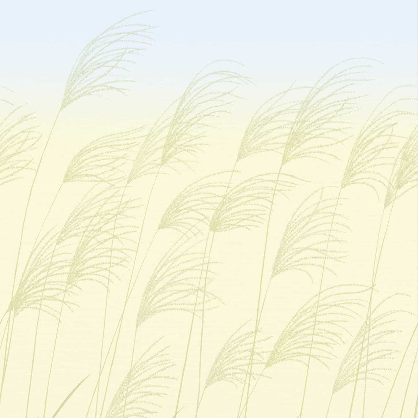 Miscanthus Buttermilk/Sky Wallpaper by HAR