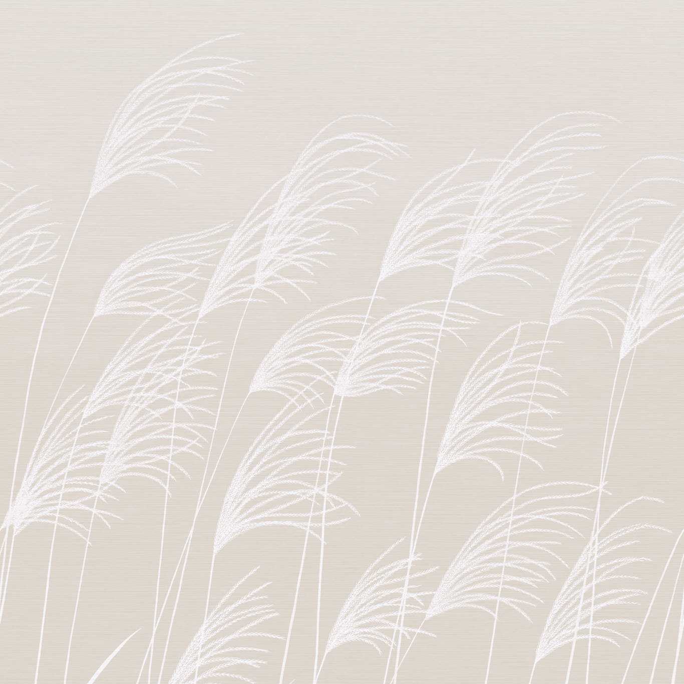 Miscanthus Parchment/Frost Wallpaper by HAR