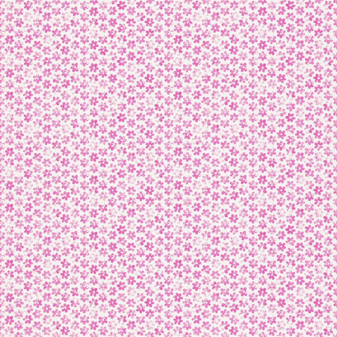 Ditsy Daisy Pink Wallpaper by HAR