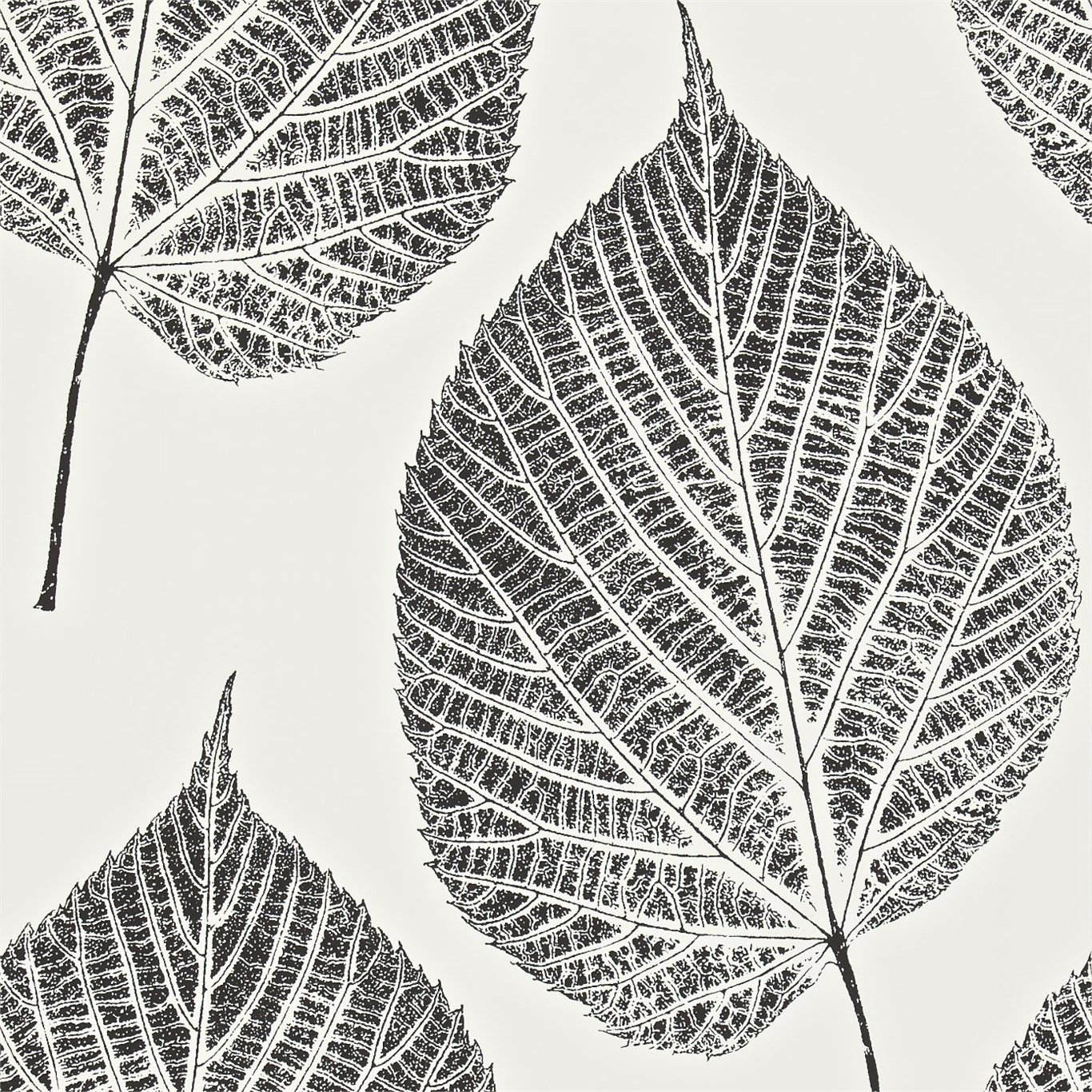 Leaf Onyx/Chalk Wallpaper by HAR