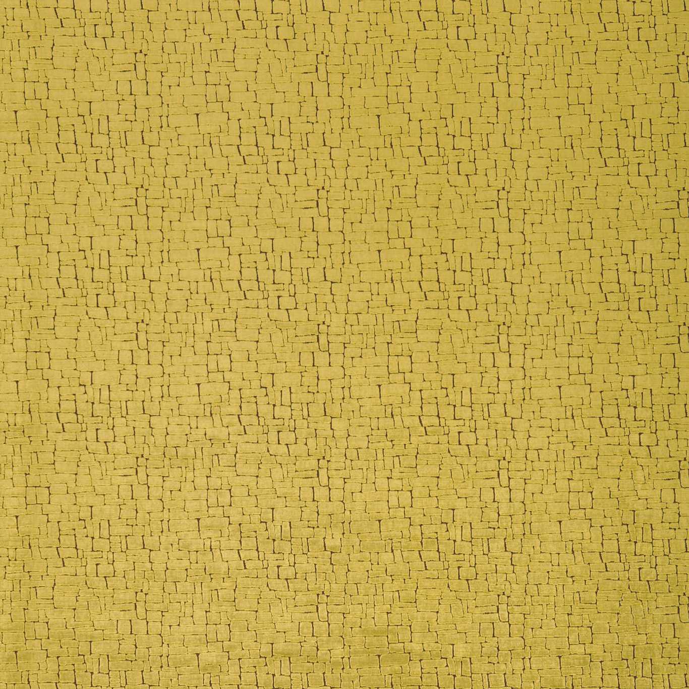 Ascent Lime And Coffee Fabric by HAR