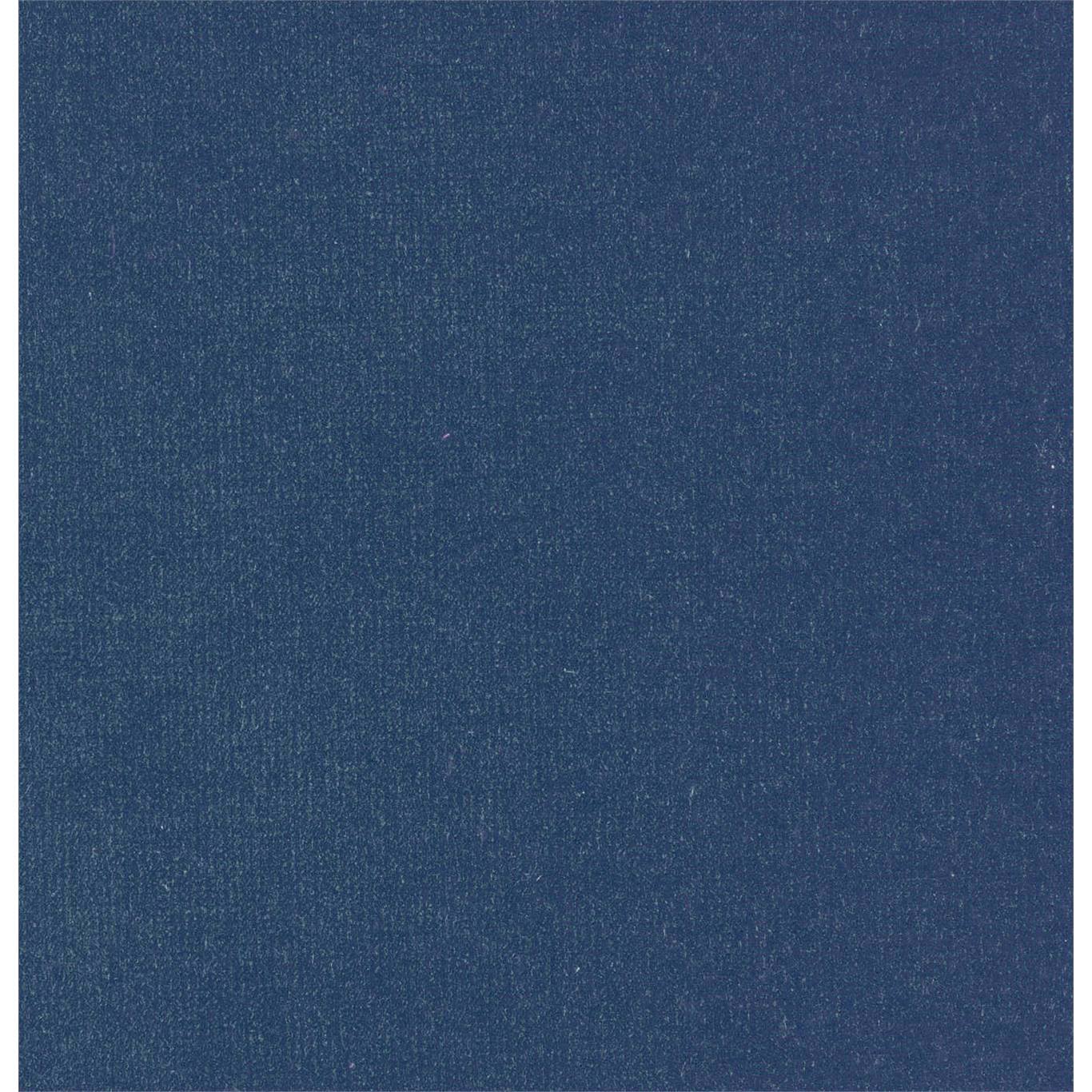 Plush Velvet Blueberry Fabric by HAR