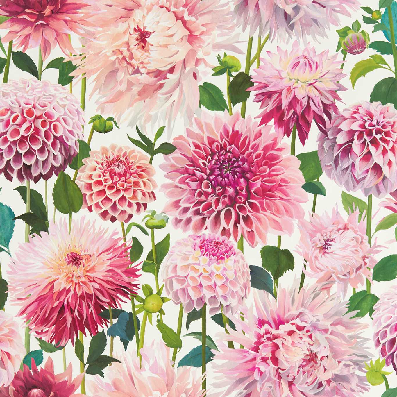 Dahlia Blossom/Emerald/New Beginnings Wallpaper by HAR