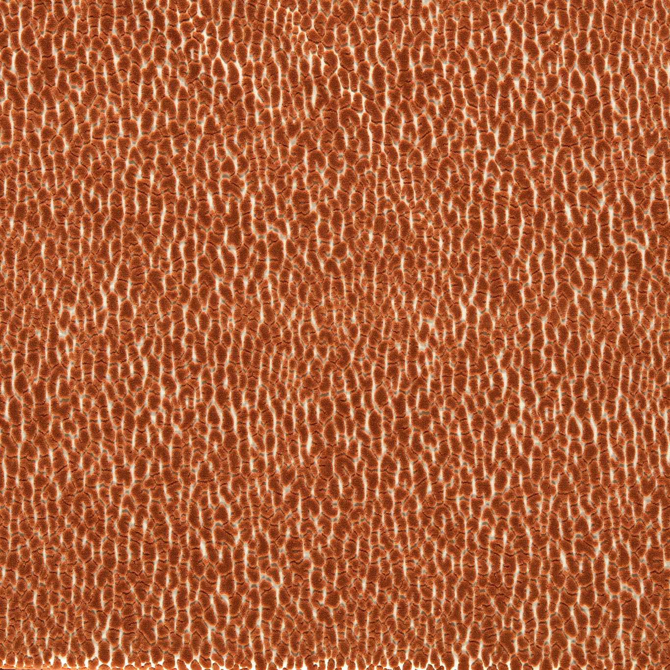 Lacuna Tiger Fabric by HAR