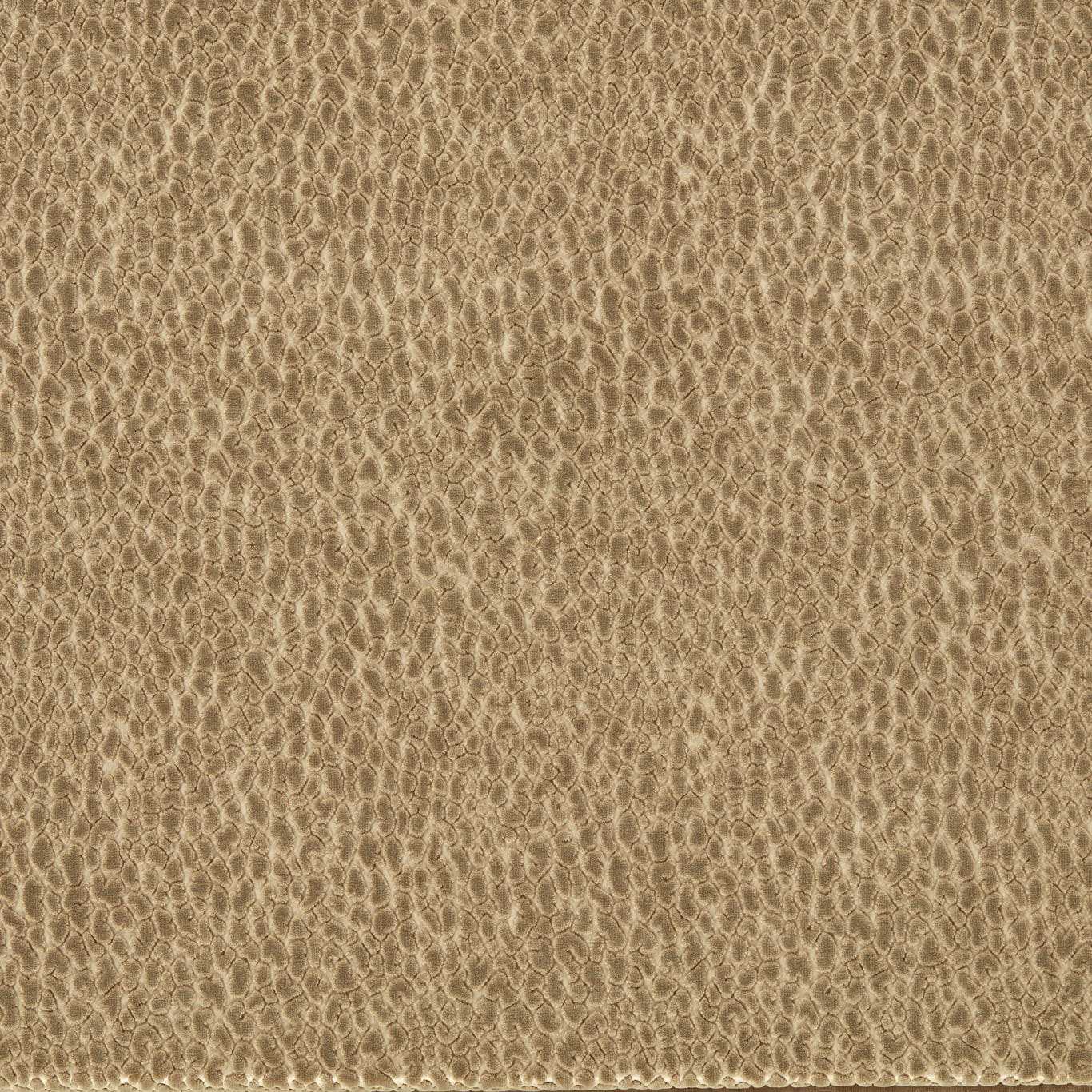 Lacuna Taupe Fabric by HAR