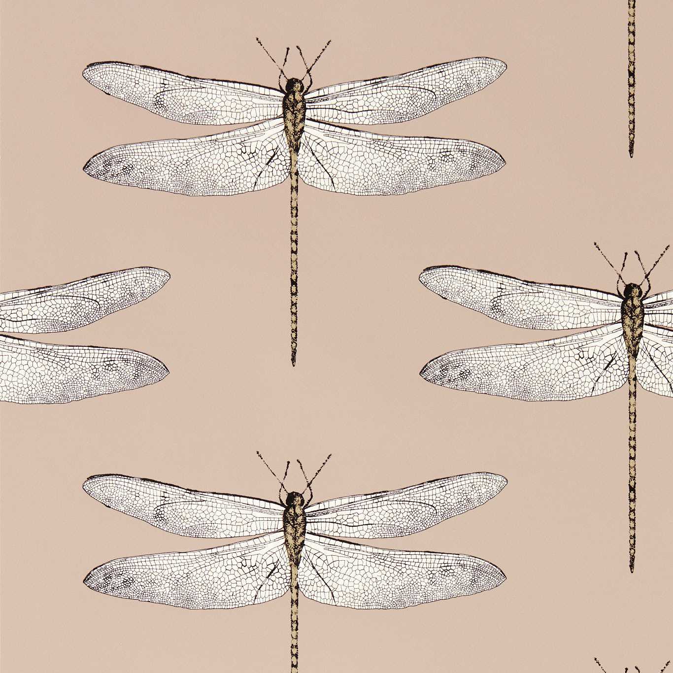 Demoiselle Positano/First Light/Taupe Wallpaper by HAR