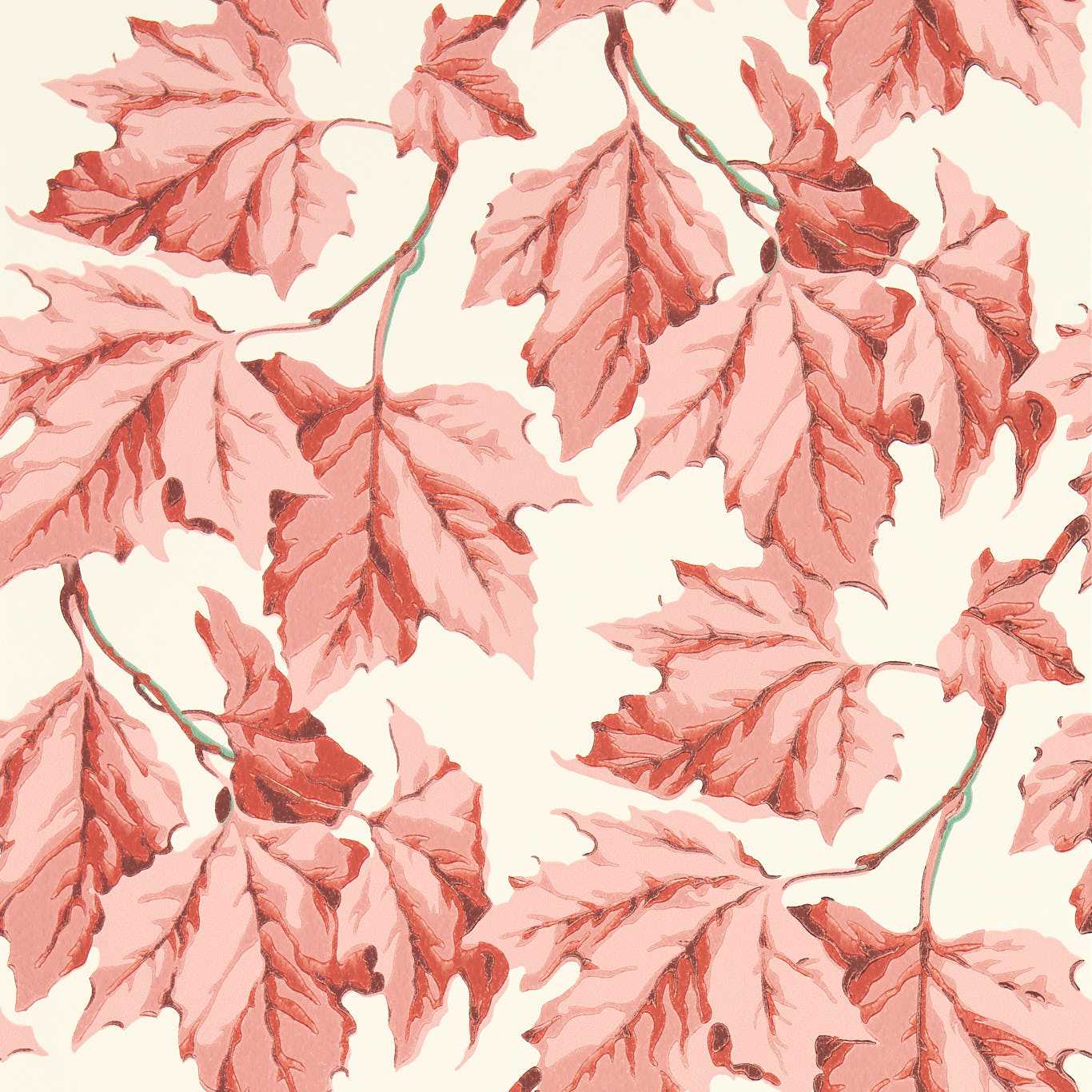Dappled Leaf Rose Quartz Wallpaper by HAR